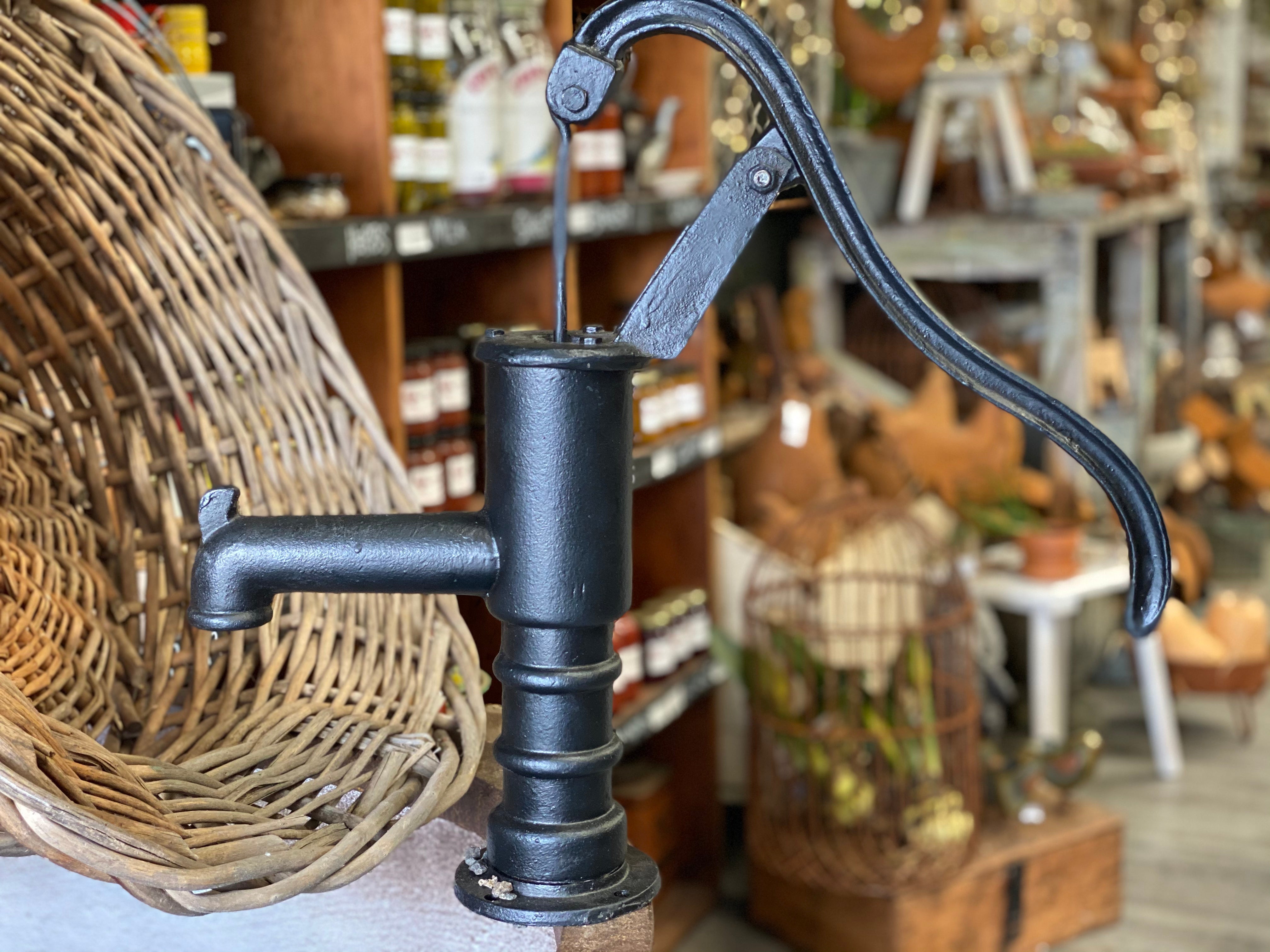 Cast Iron WORKING Water Pump BRONZE
