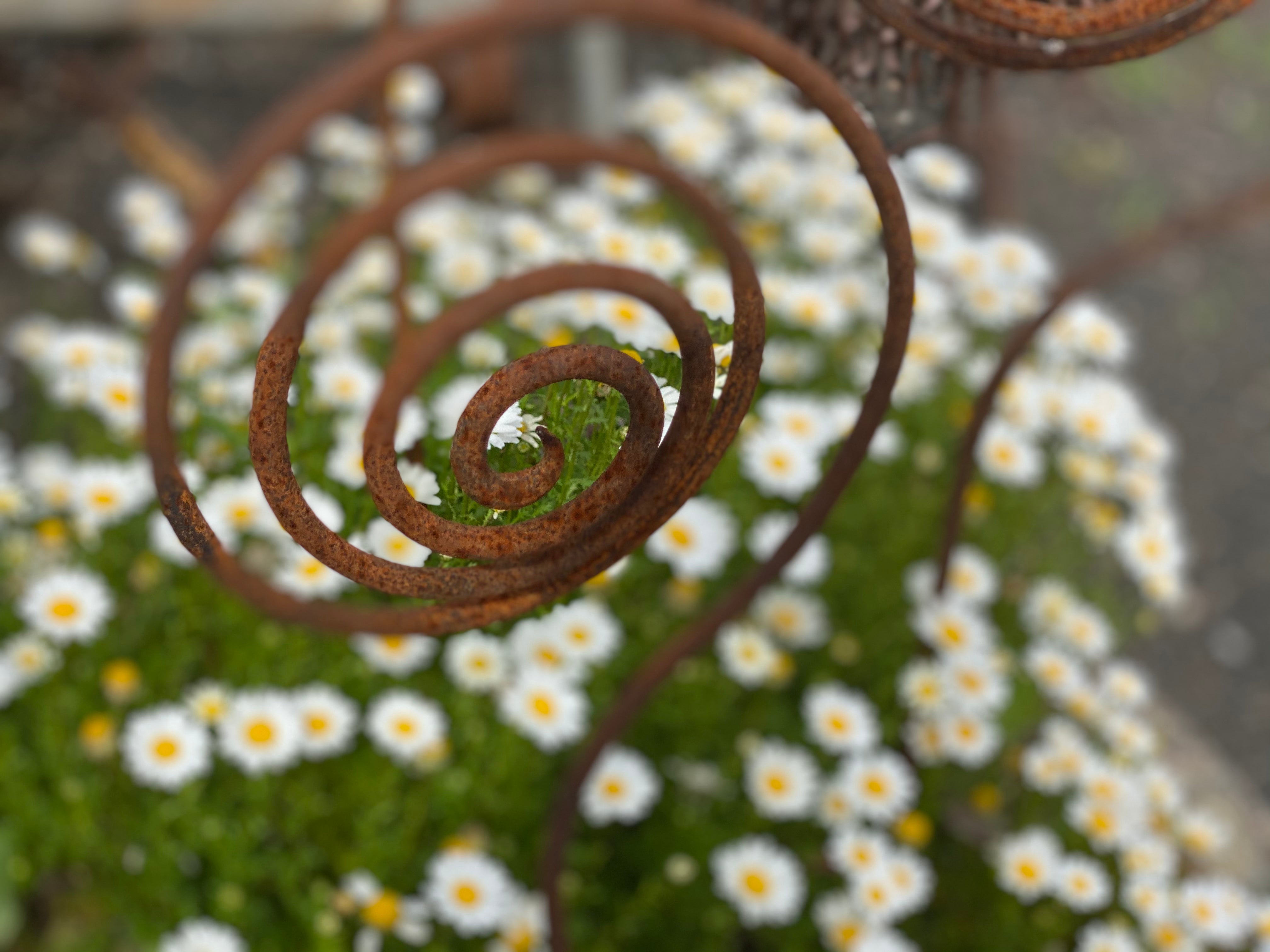 Curly Swirl Stake
