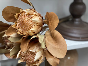 Protea Natural Bunch