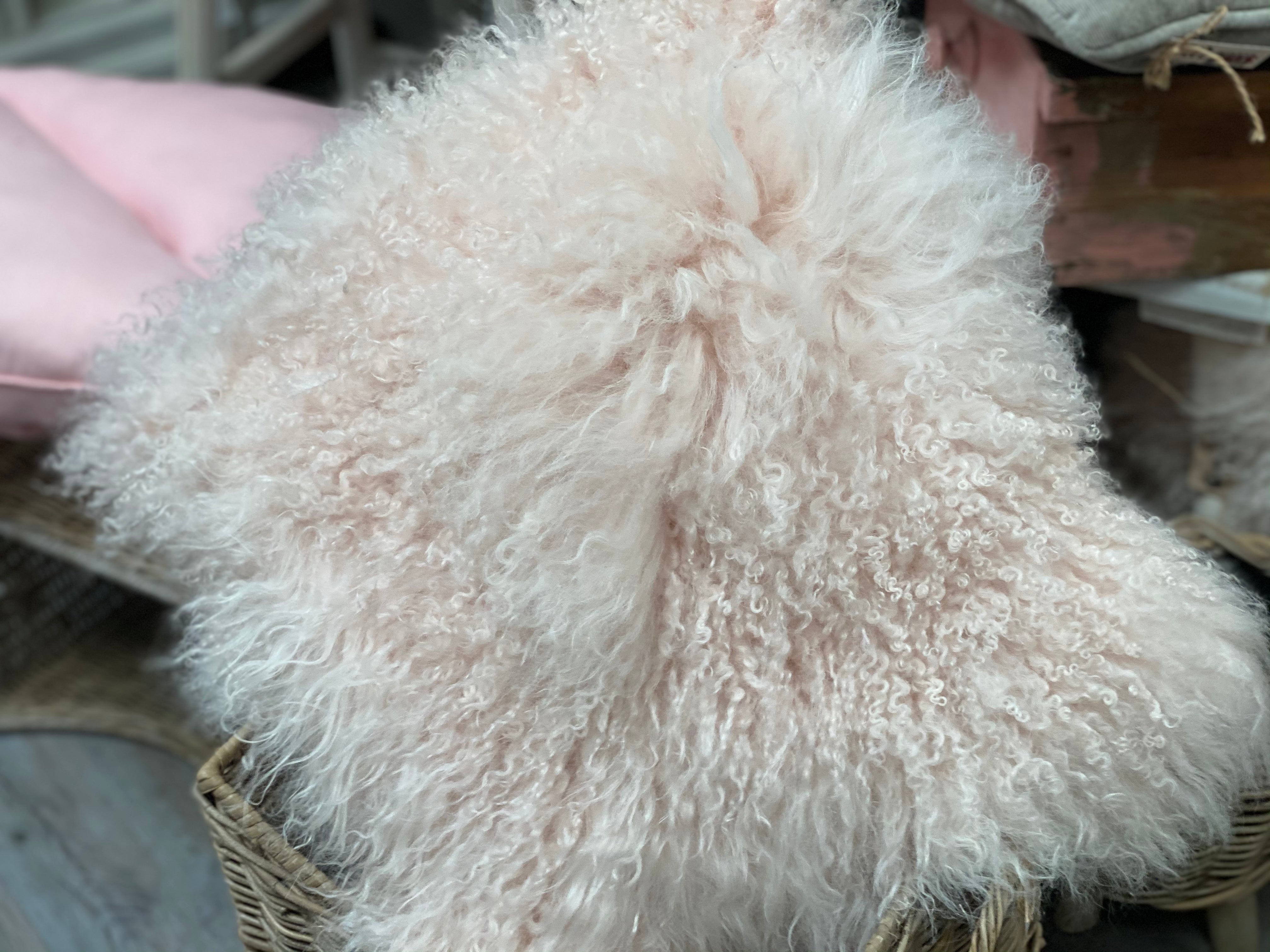 Mongolian BLUSH Cushion