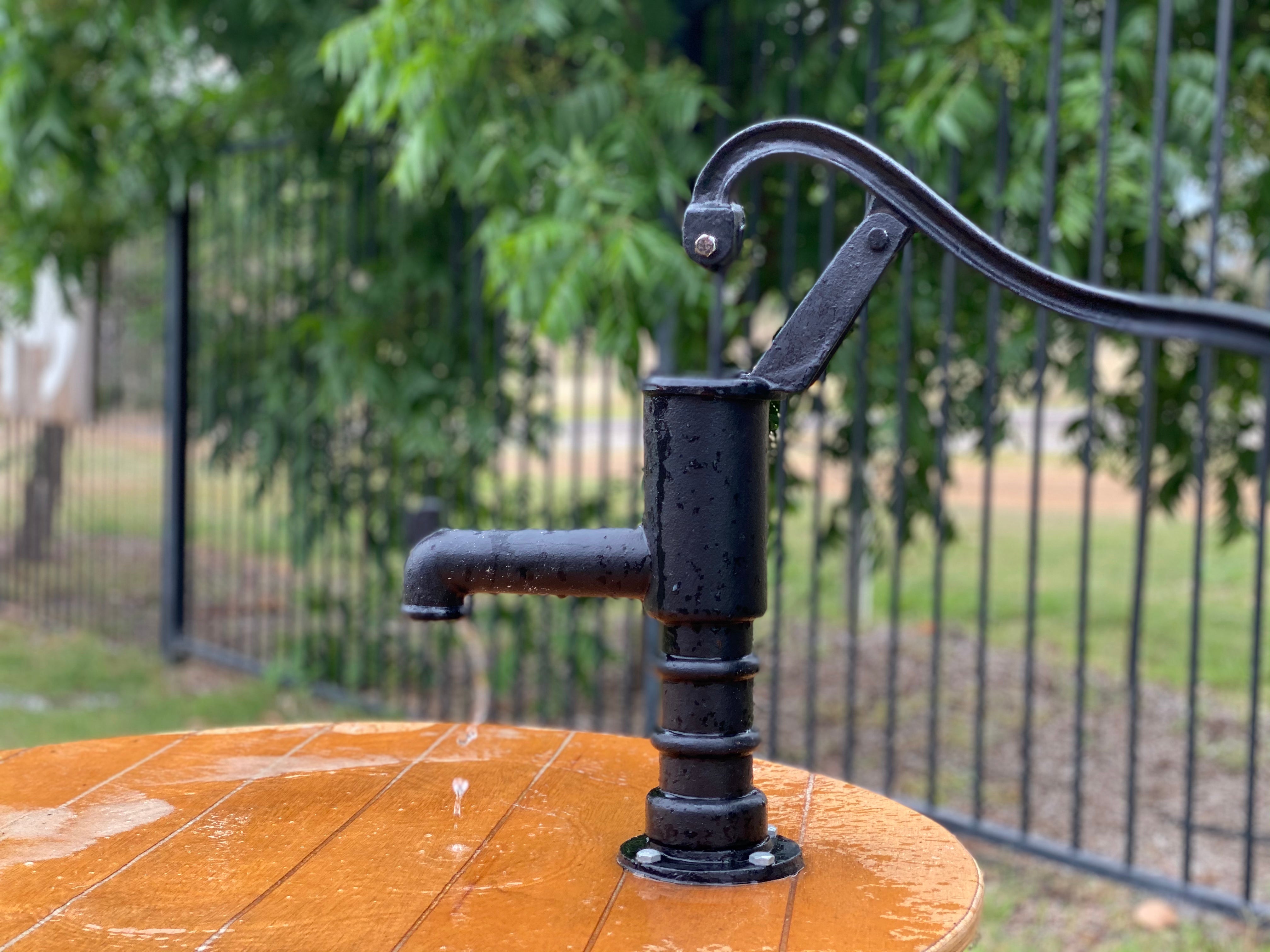 Cast Iron WORKING Water Pump BRONZE