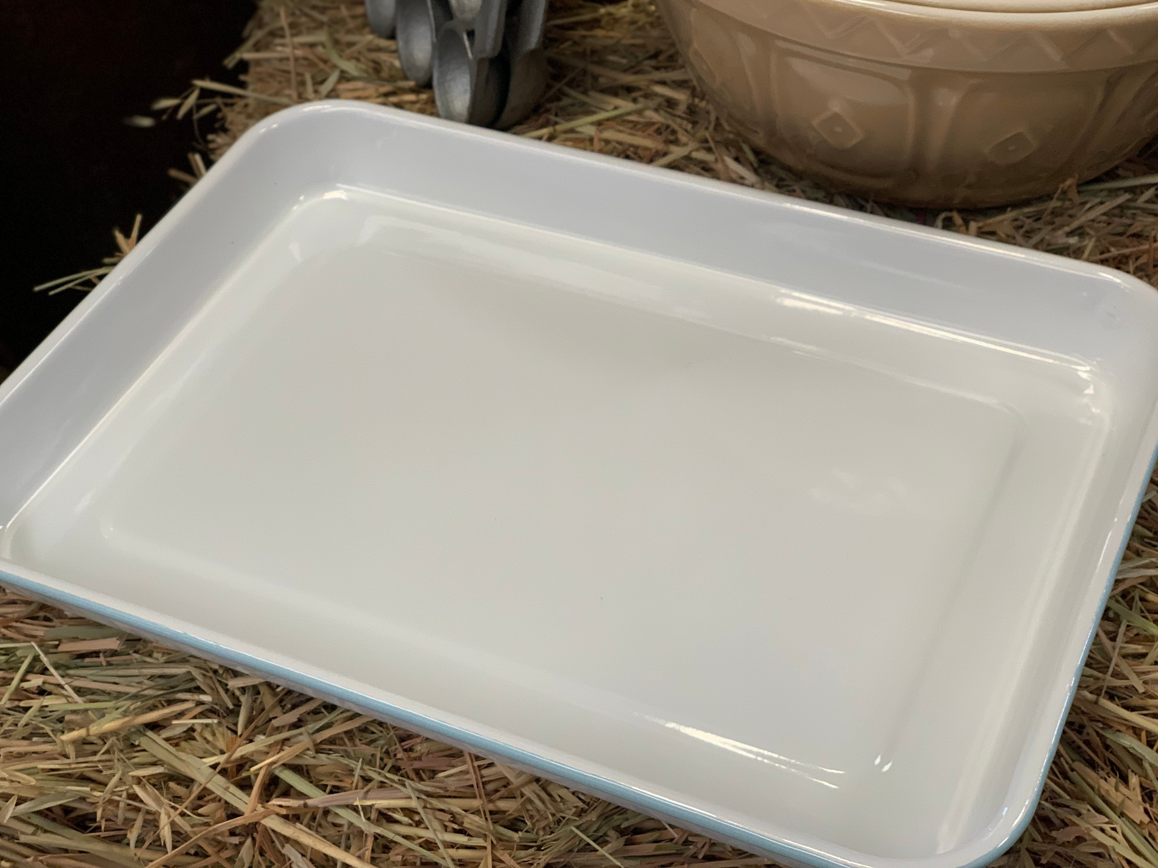 Enamel Duck Egg Blue Trim Tray