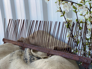 XL Vintage RAKE Head