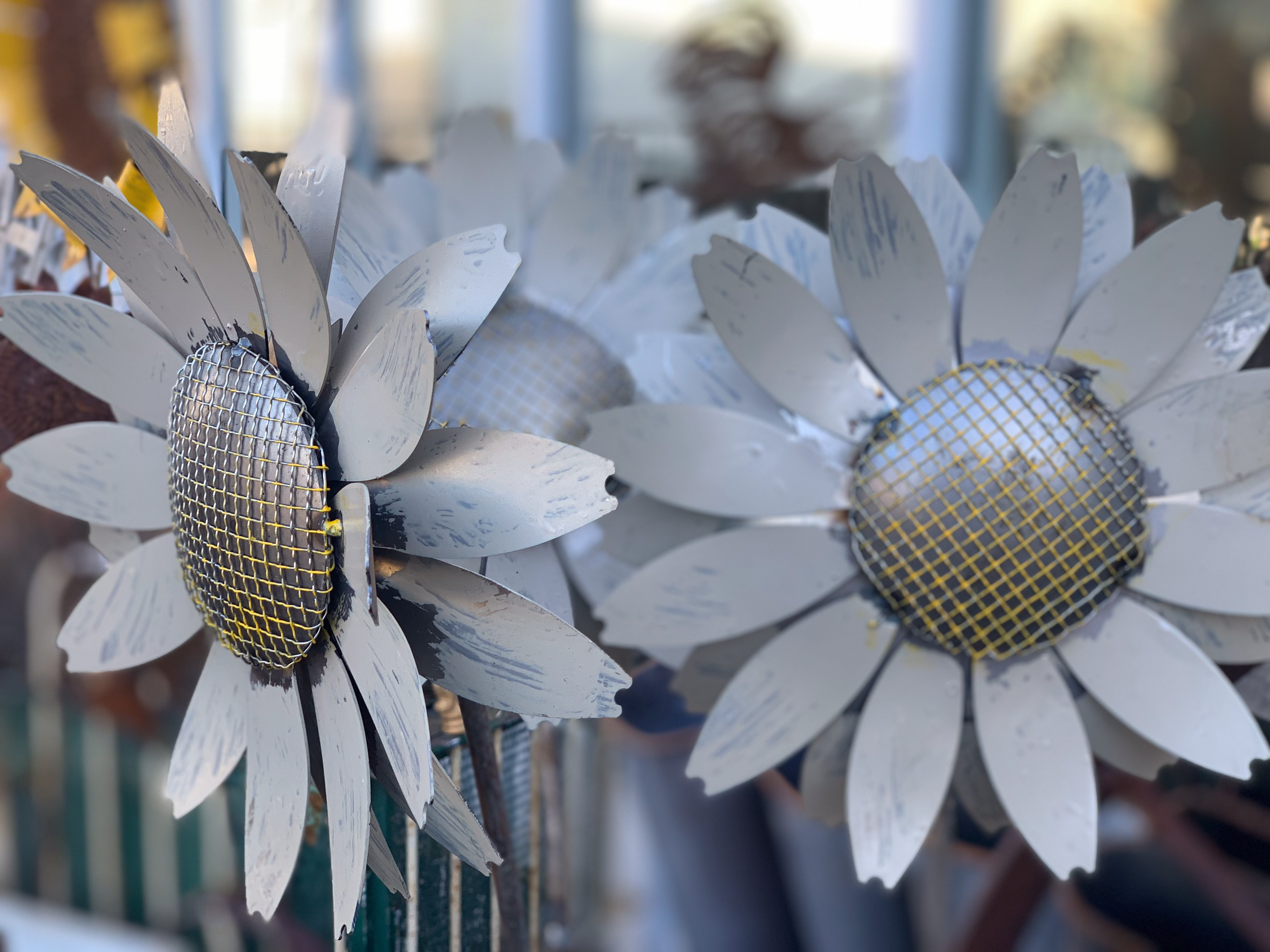 White Daisy Stakes Set of 3