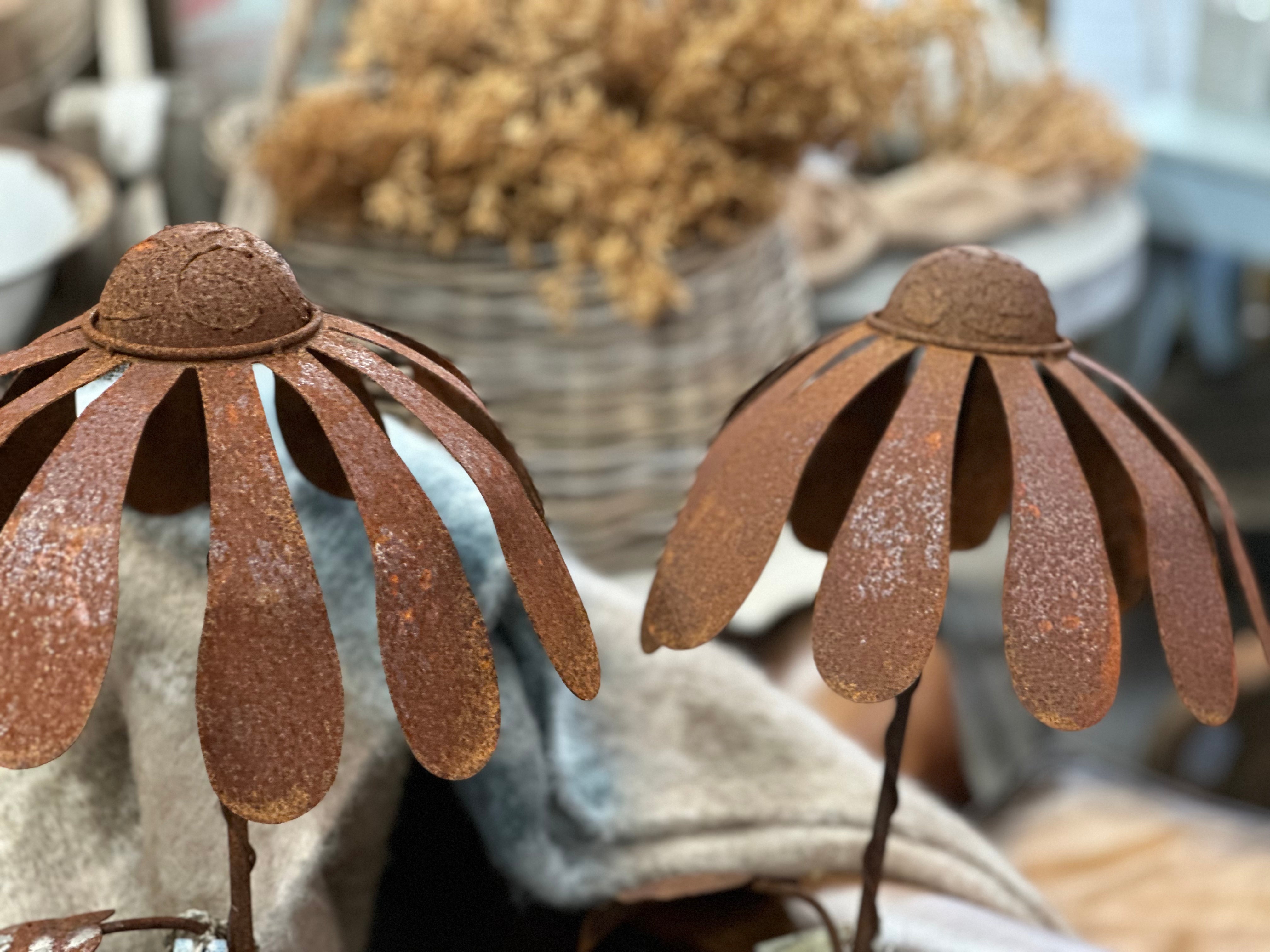 Single Large Rusty UPSY Daisy Stake