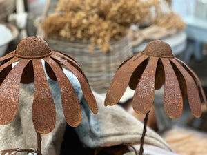 Single Large Rusty UPSY Daisy Stake