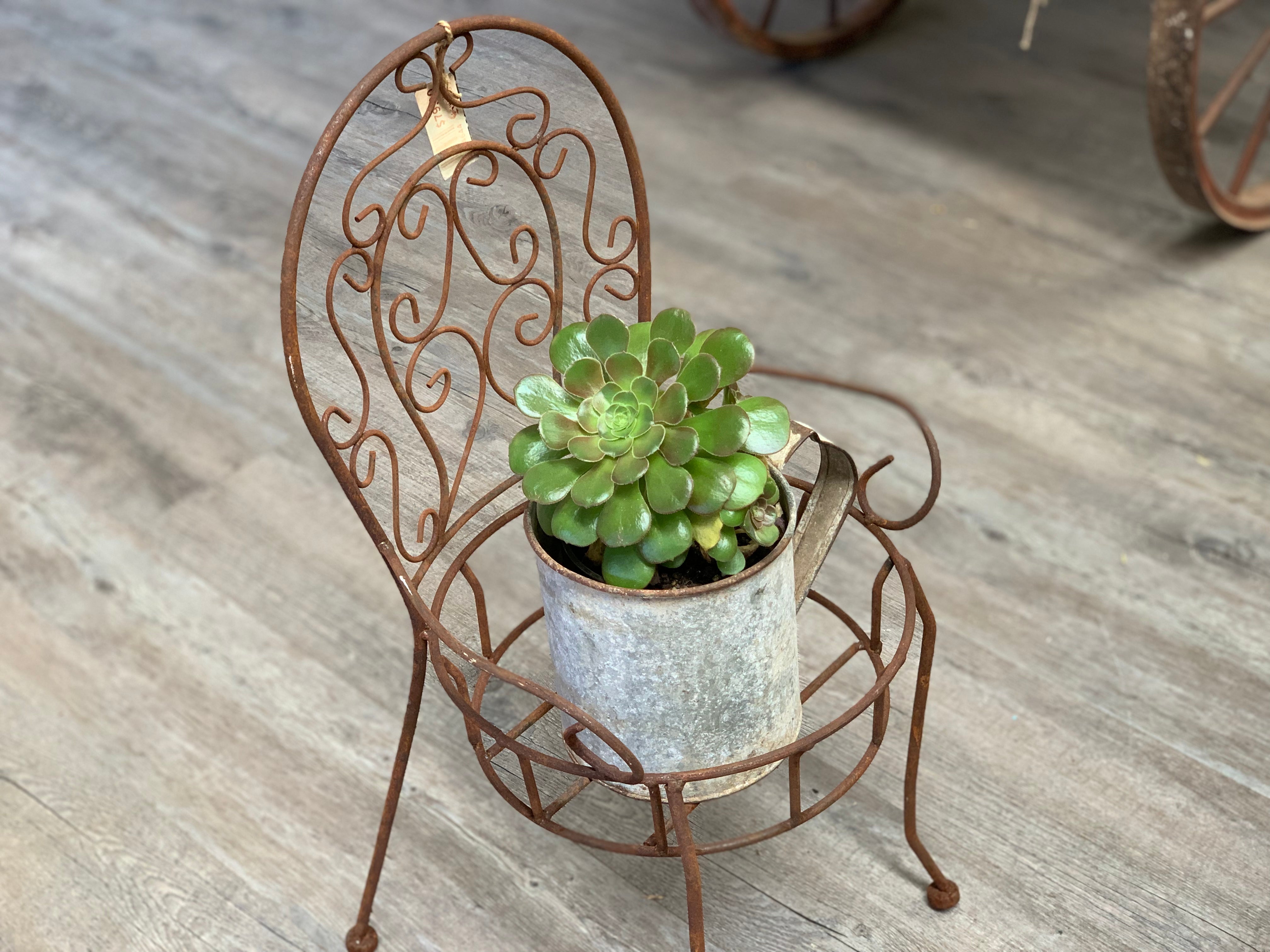 Rusty Anne Chair Planter