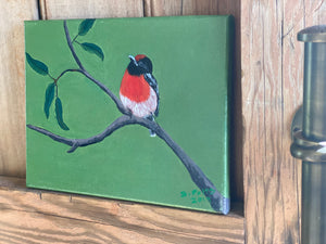 Original Hand Painted RED Bird Canvas