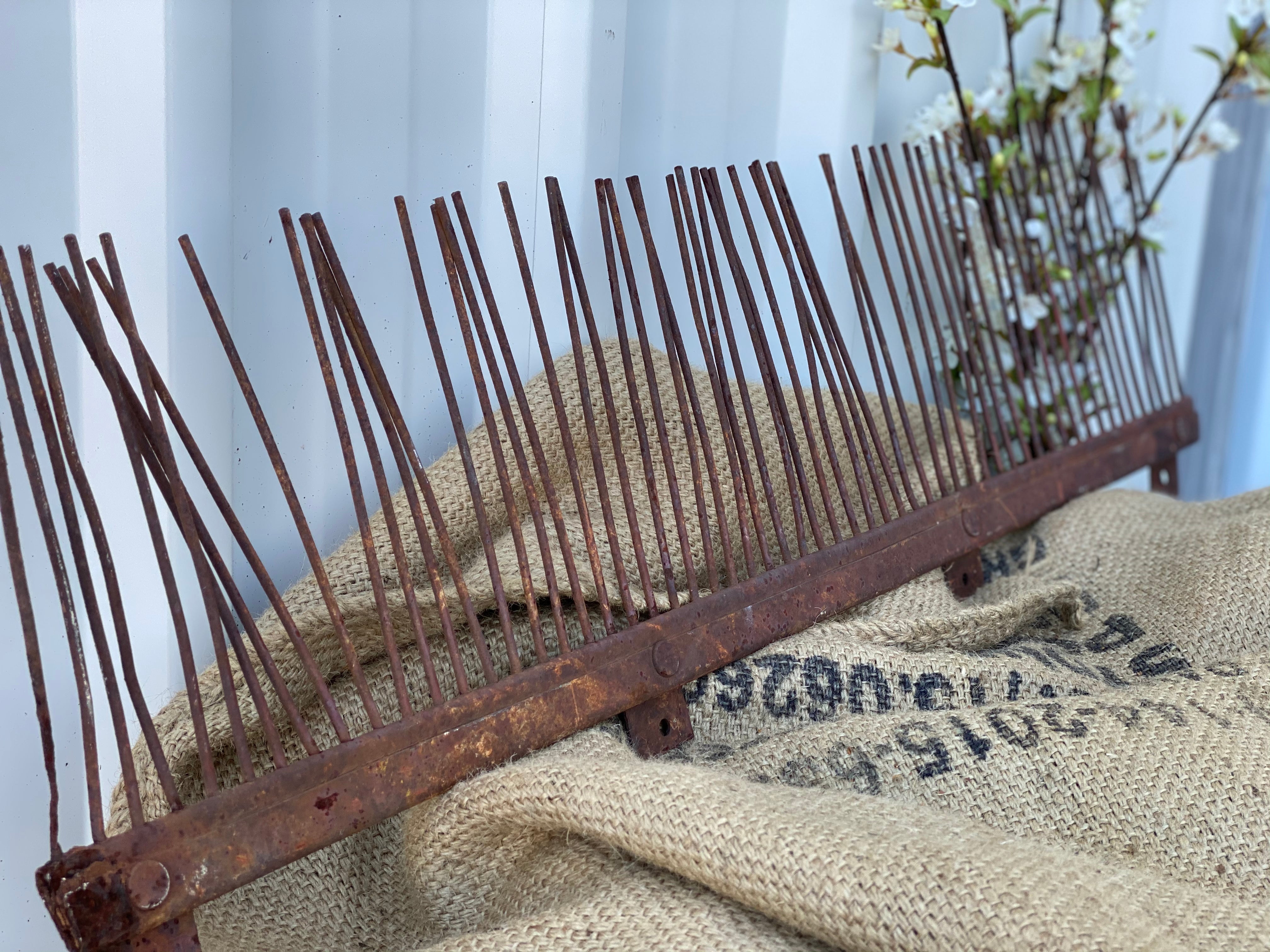 XL Vintage RAKE Head
