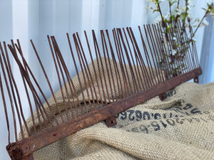 XL Vintage RAKE Head