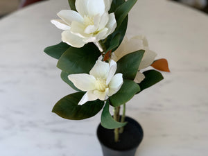 Faux Magnolia Pot Plant