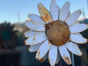 White Daisy Stakes Set of 3