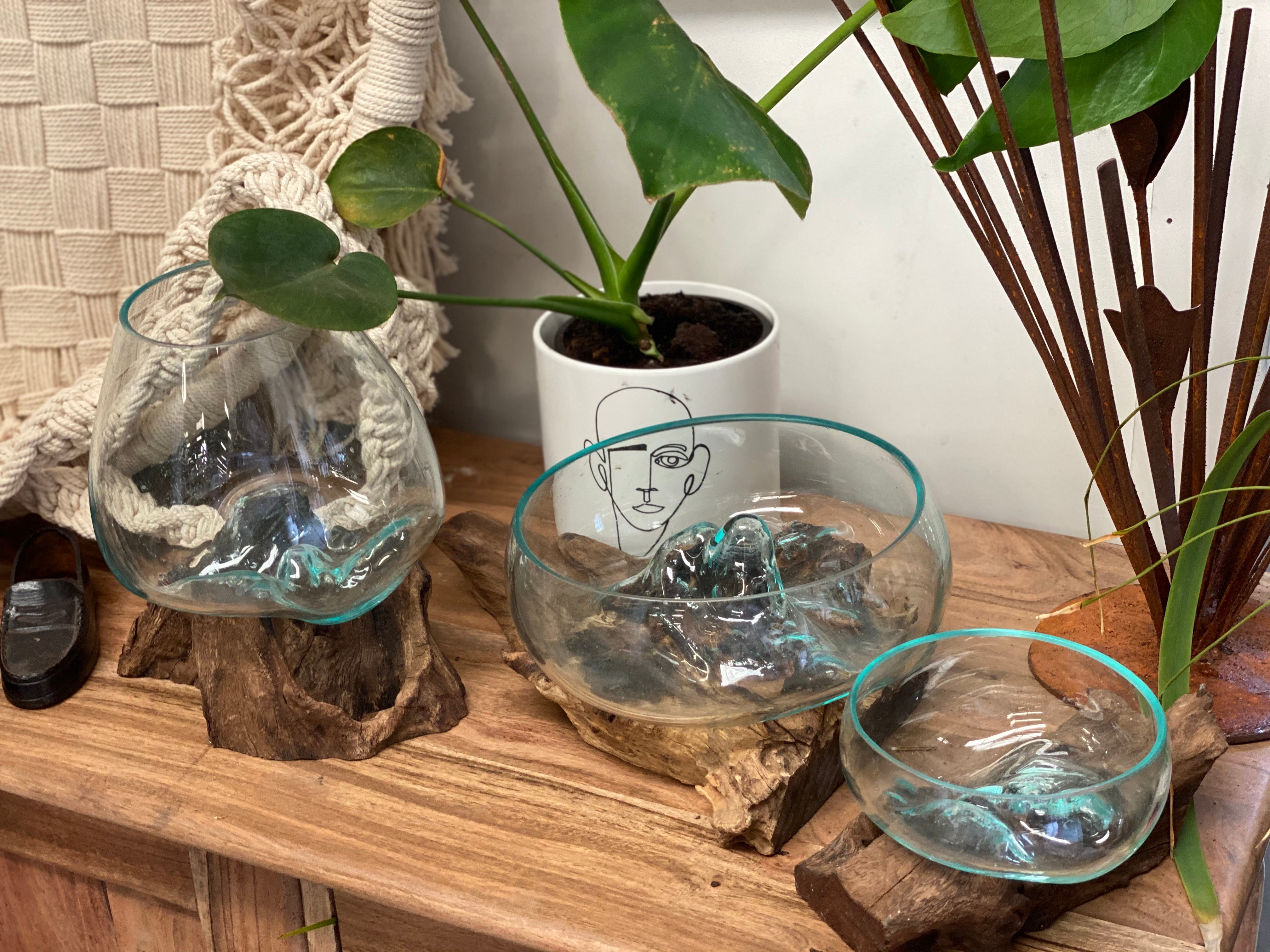 Glass Terrariums