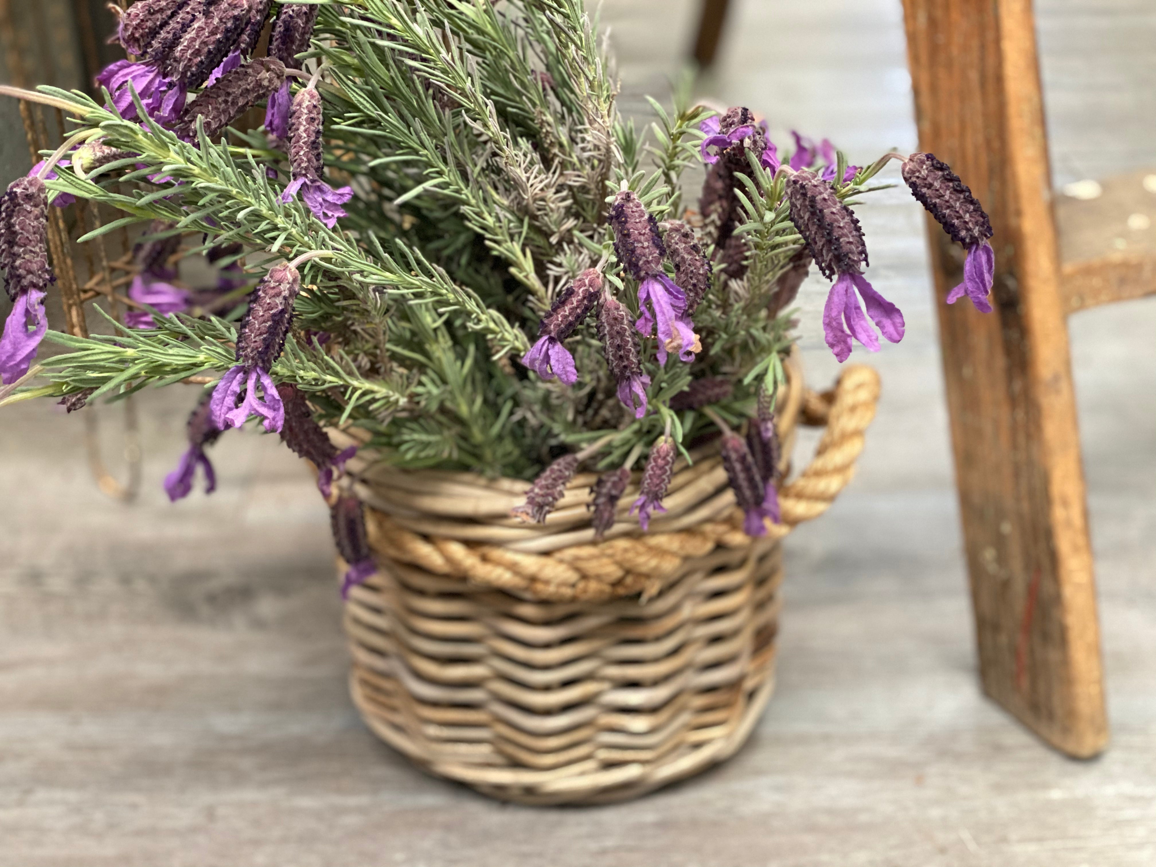 Rattan Rope Basket with Handles