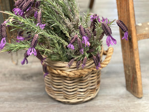 Rattan Rope Basket with Handles