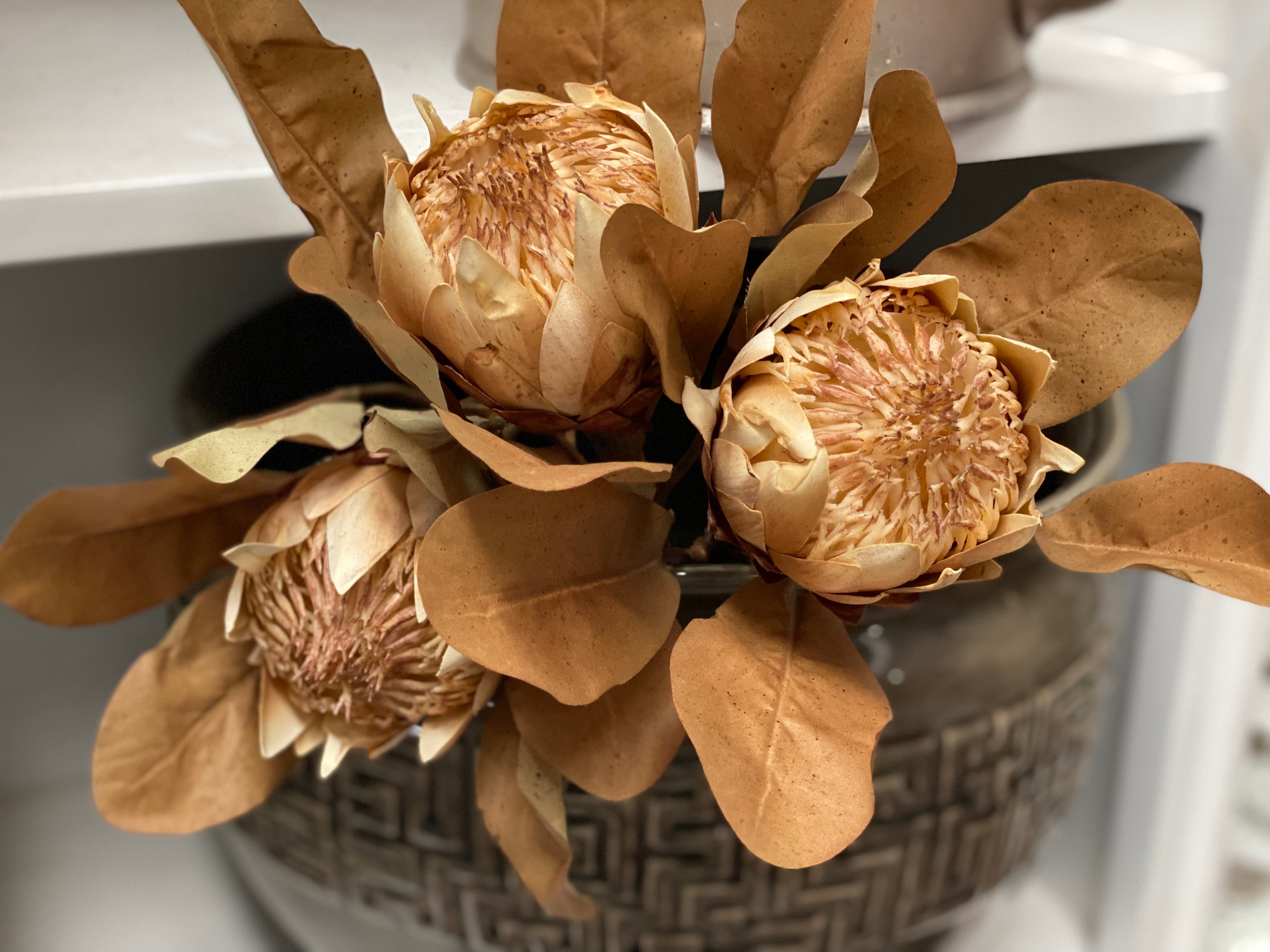Protea Natural Bunch