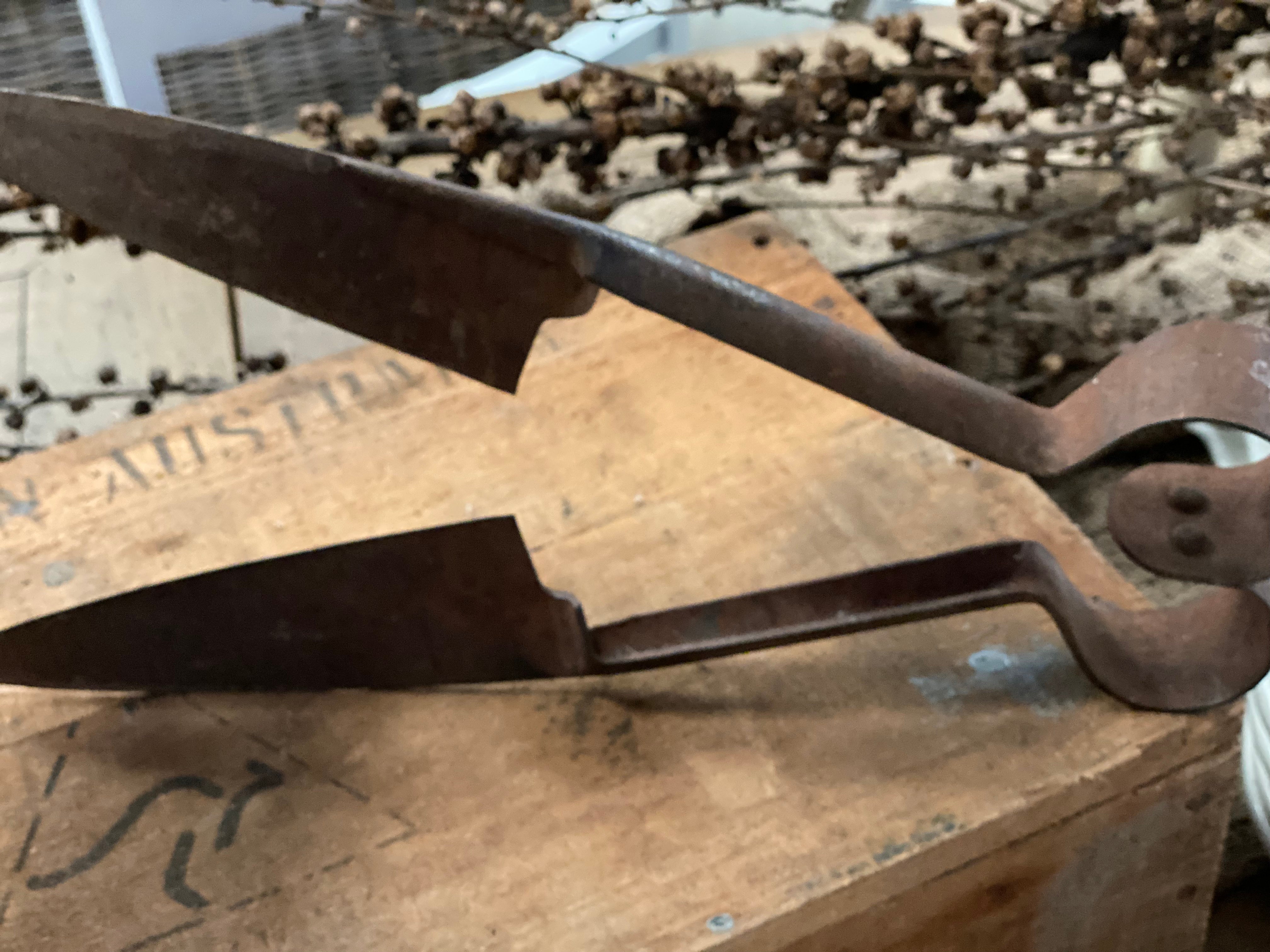 Vintage Shears FREE Postage