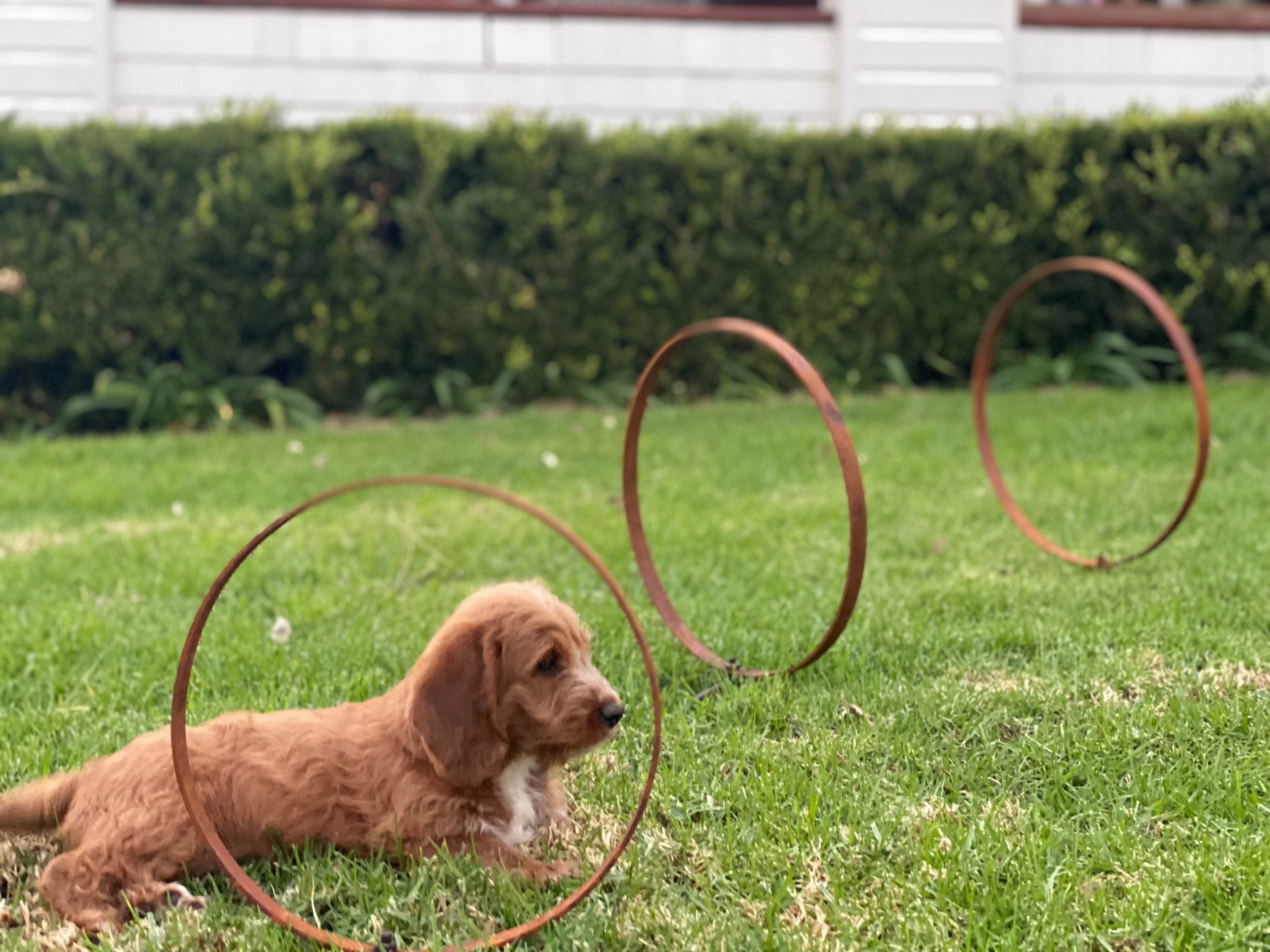 RUST Garden Rings SET of 3 Stakes