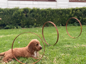 RUST Garden Rings SET of 3 Stakes