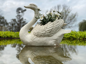 XL SCARLETT Swan Planter BACK IN STOCK