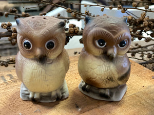 QUIRKY Owl Salt and Pepper Shakers