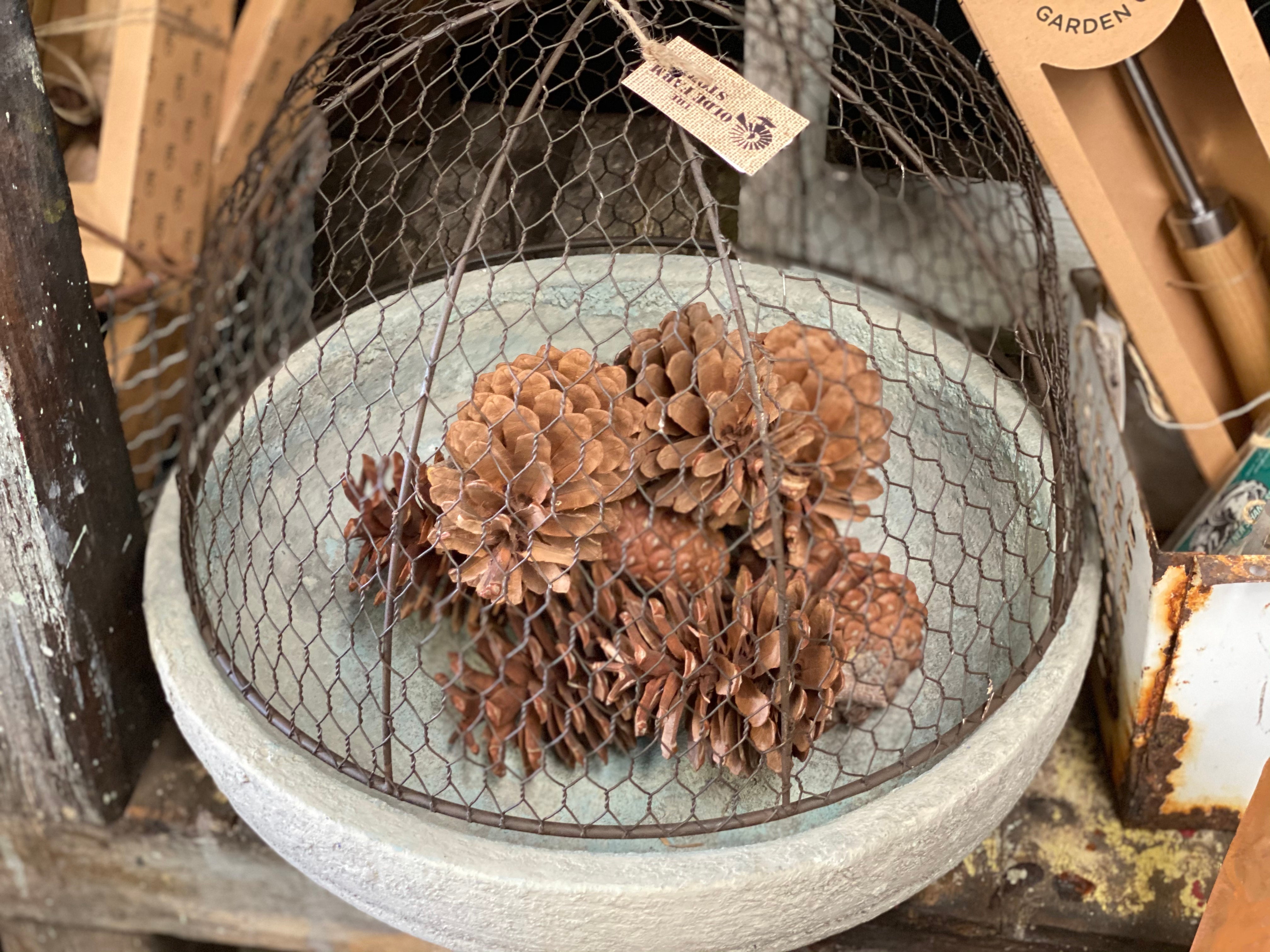 Concrete Bowl IN STORE Pick UP