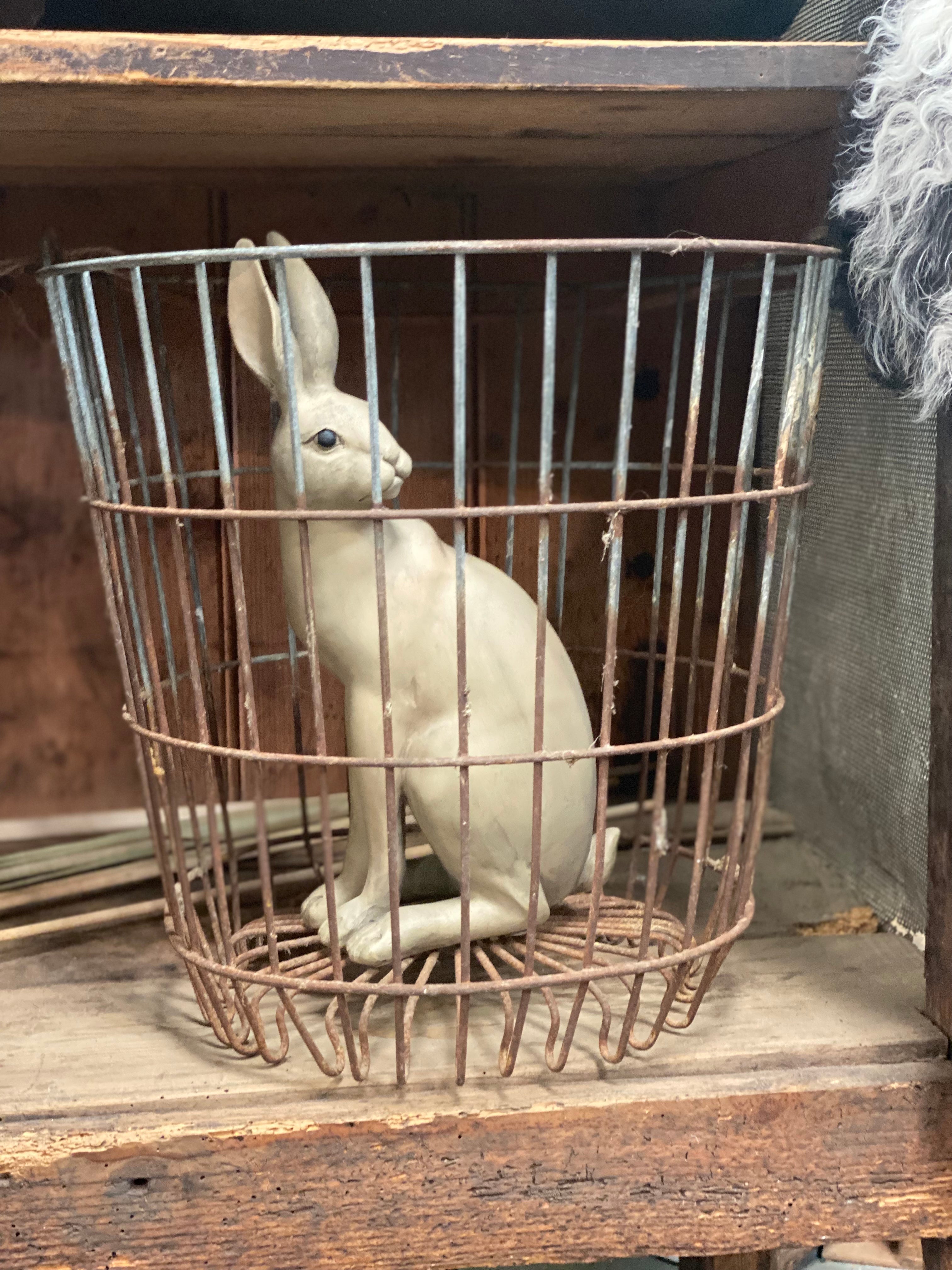 HARPER Hare DECOR