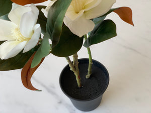 Faux Magnolia Pot Plant