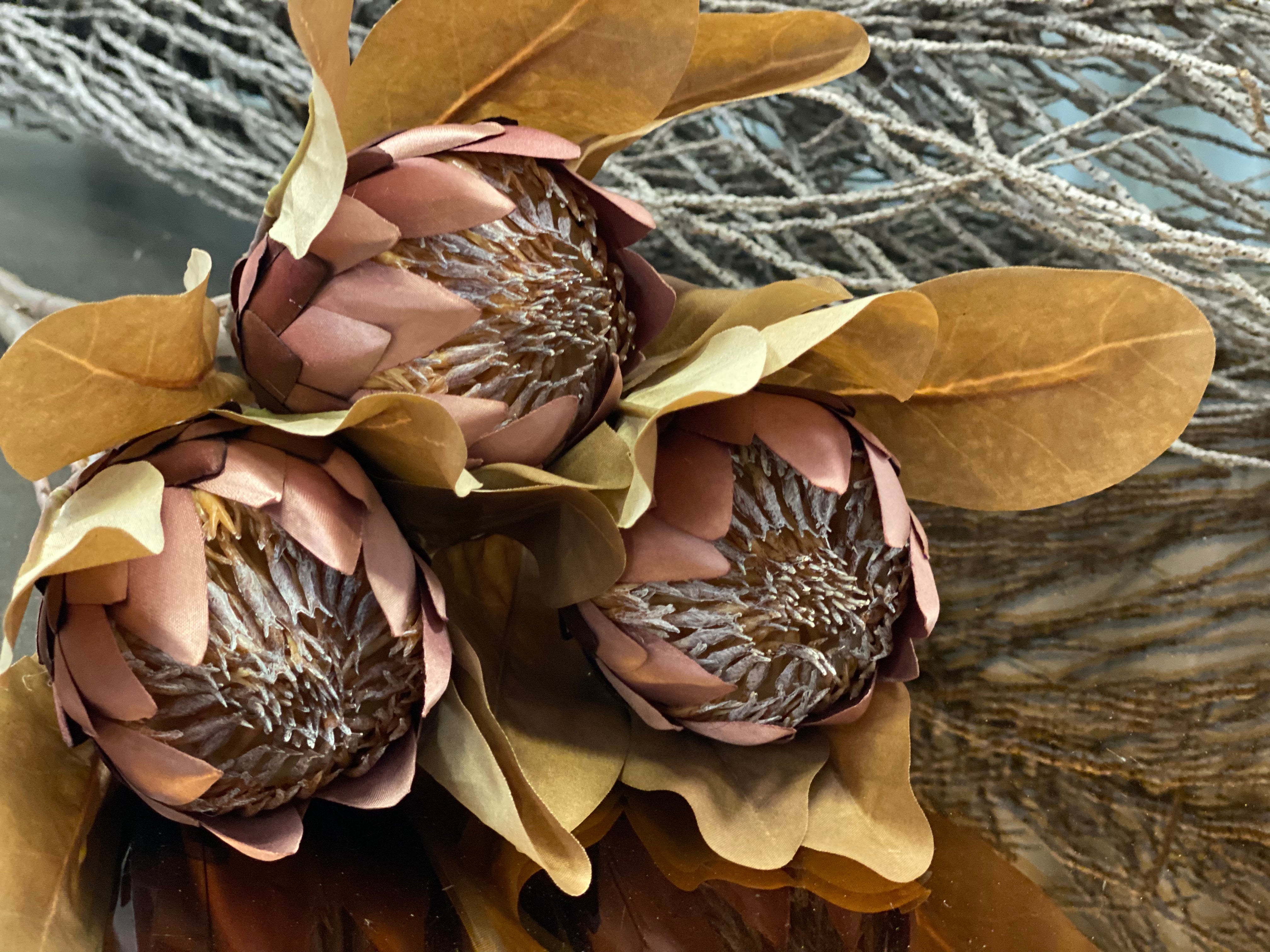 Protea Pink Bunch Free Postage