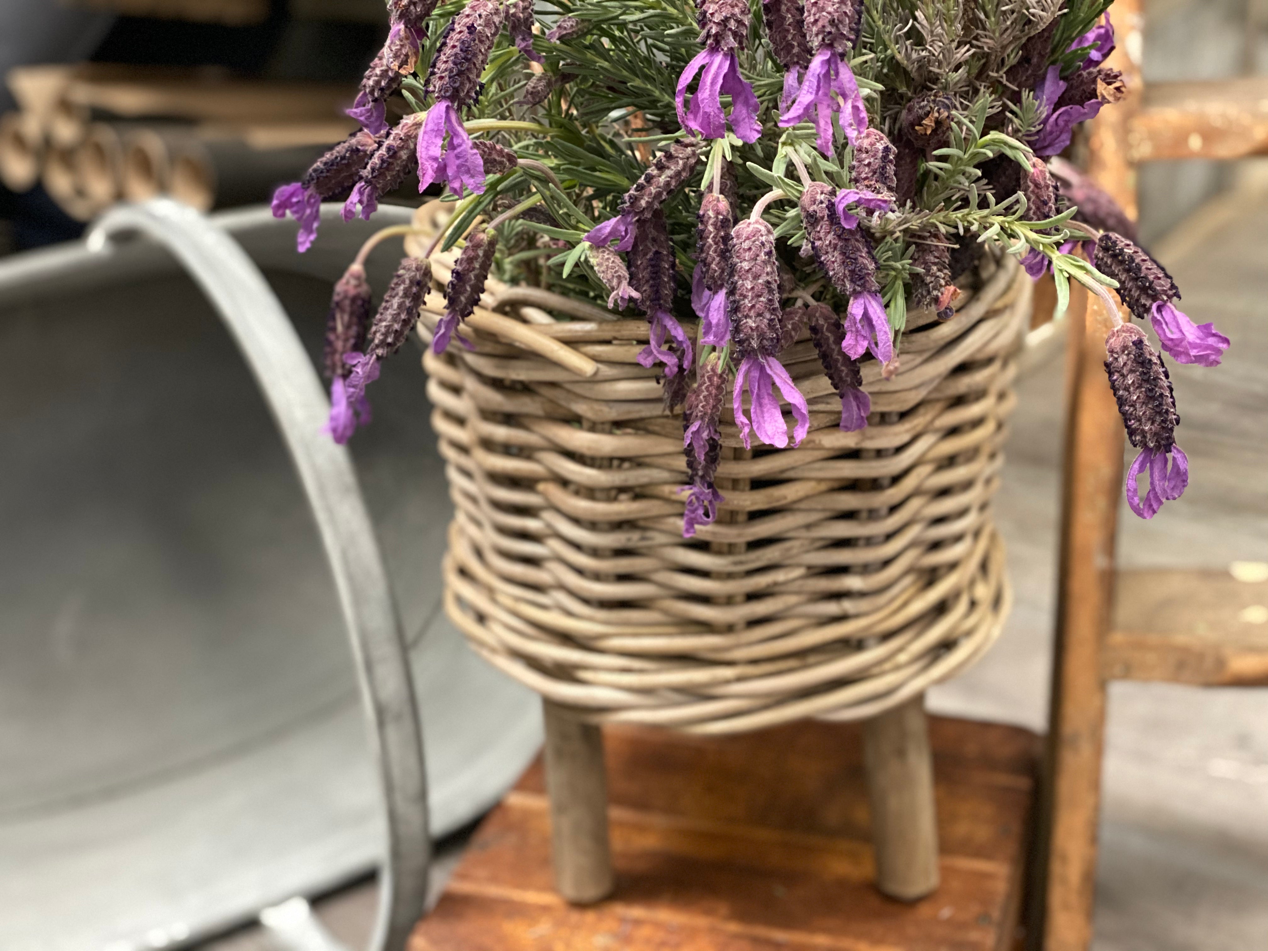 Rattan Planter On Wooden Legs