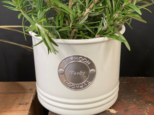 Vanilla Cream Typhoon HERBS Tin