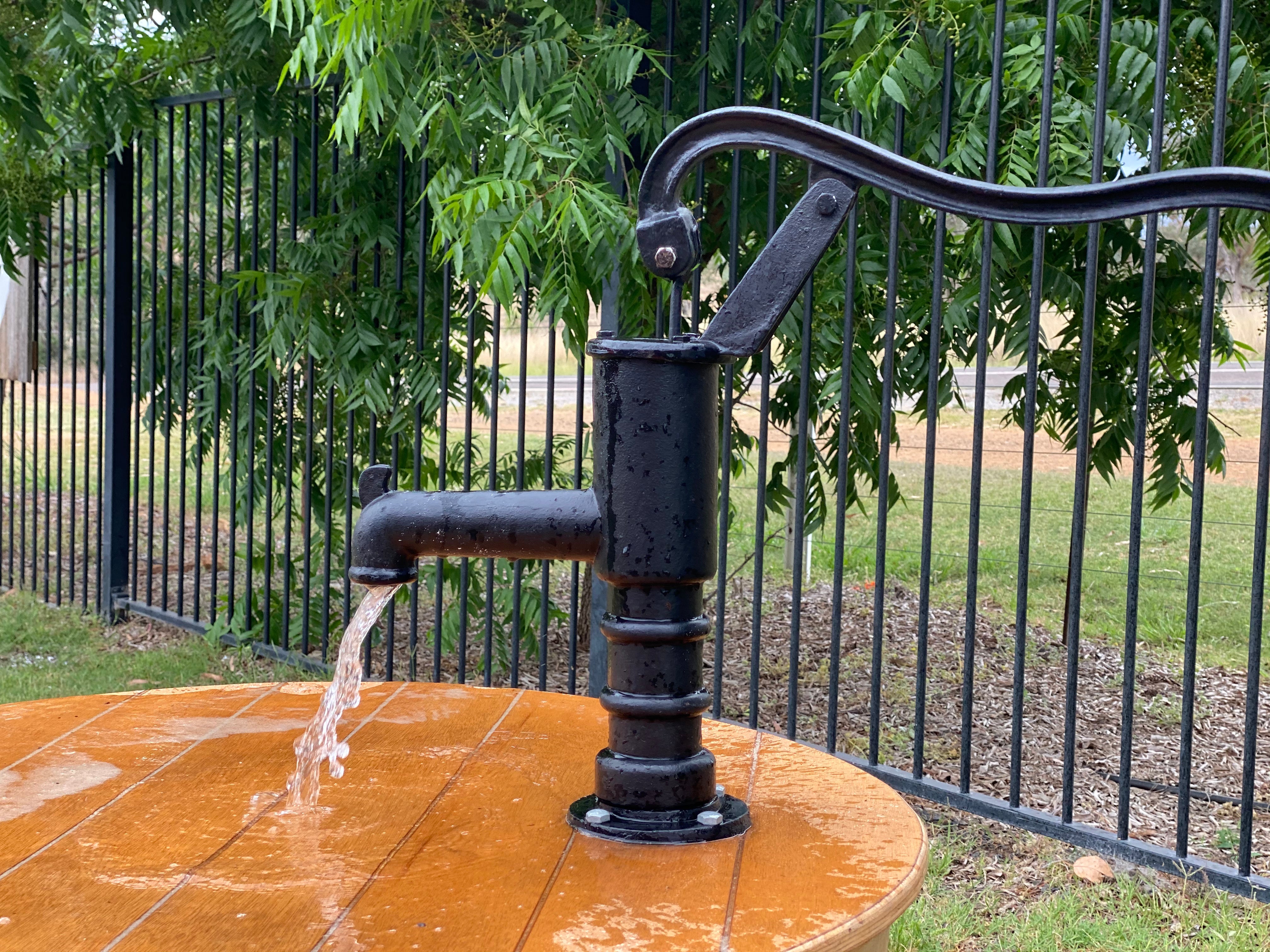 Cast Iron WORKING Water Pump BRONZE