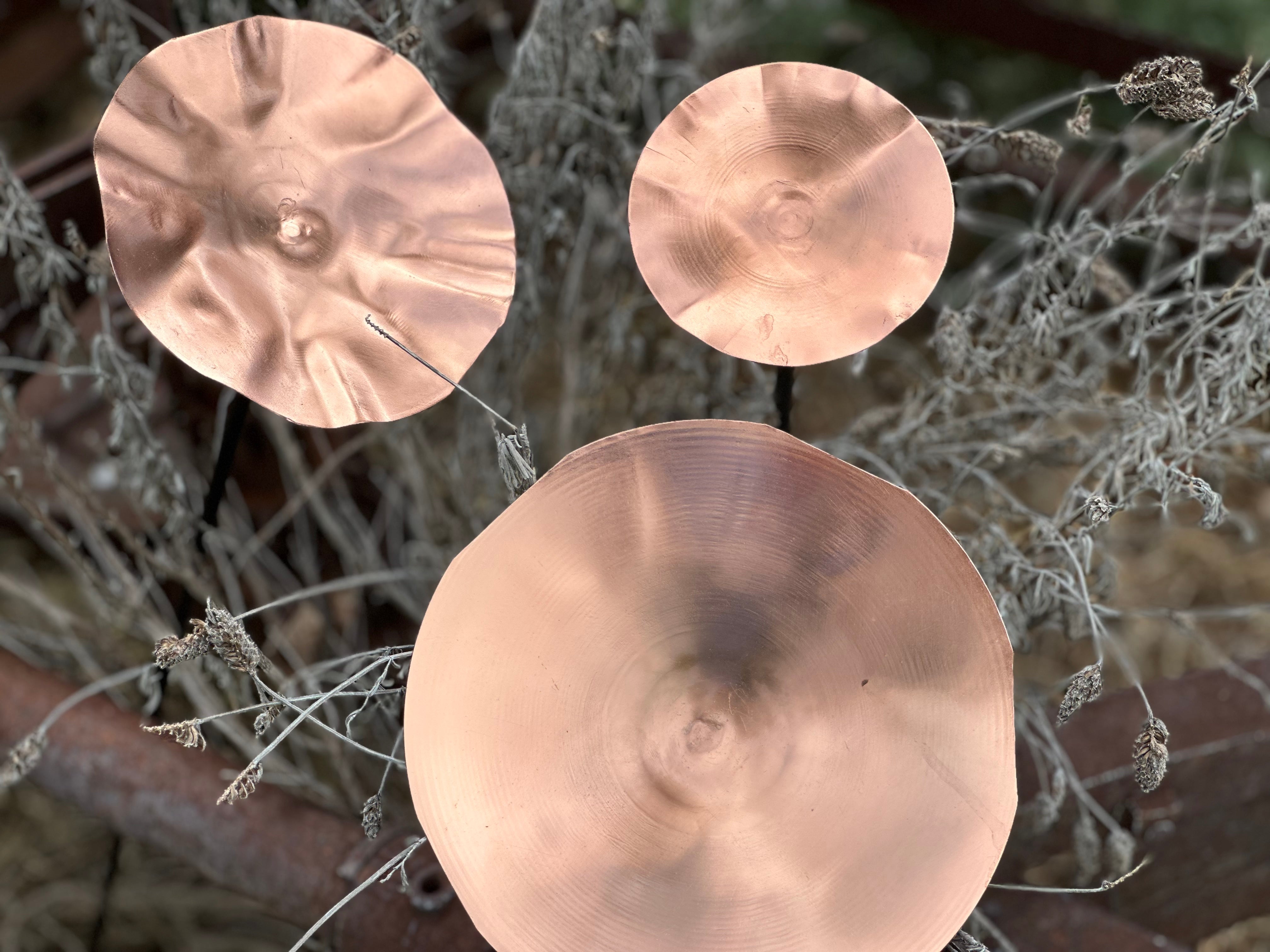 Copper Poppy Stakes Set of 3