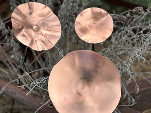 Copper Poppy Stakes Set of 3