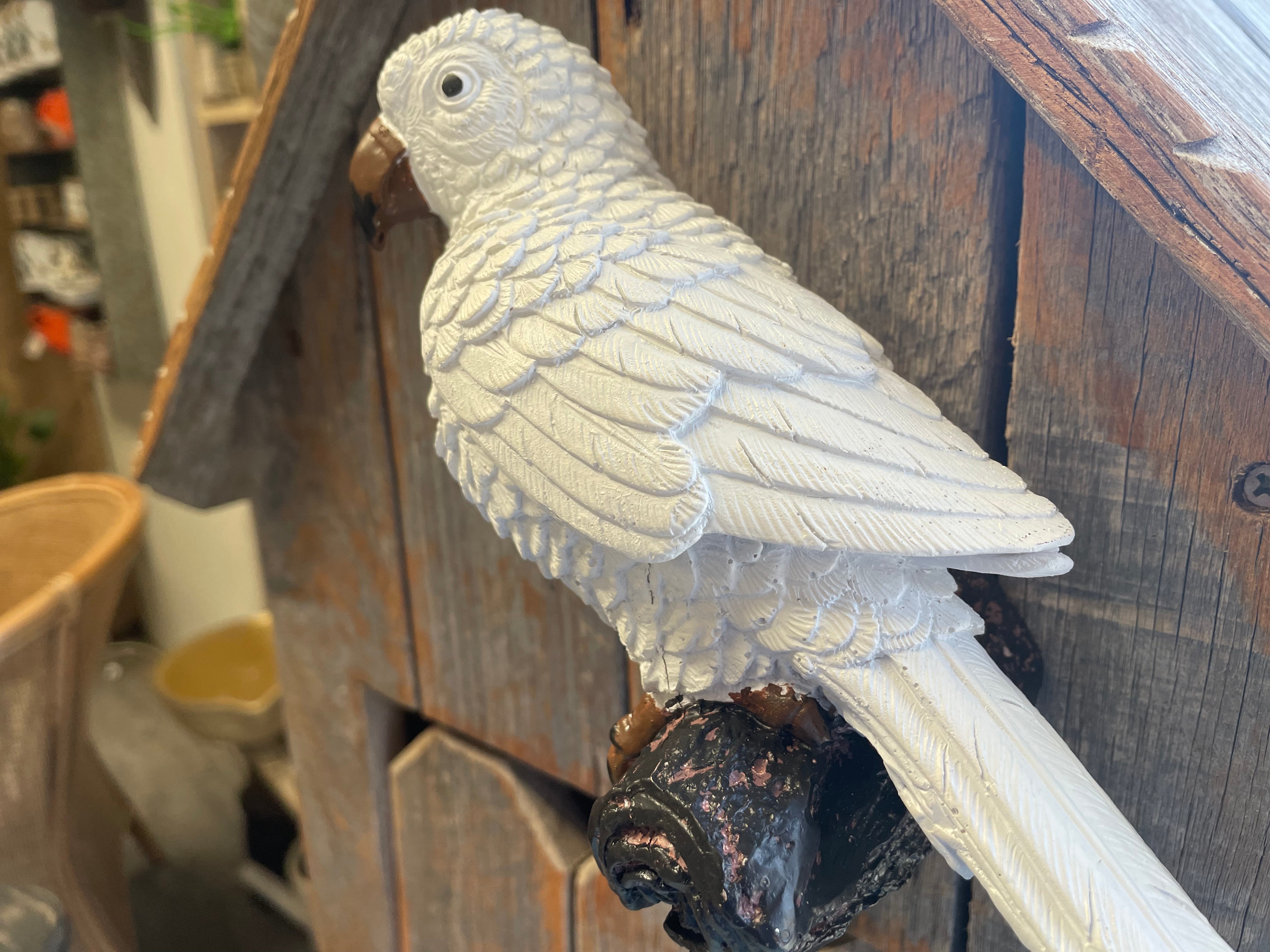Wall mounted  PARROT