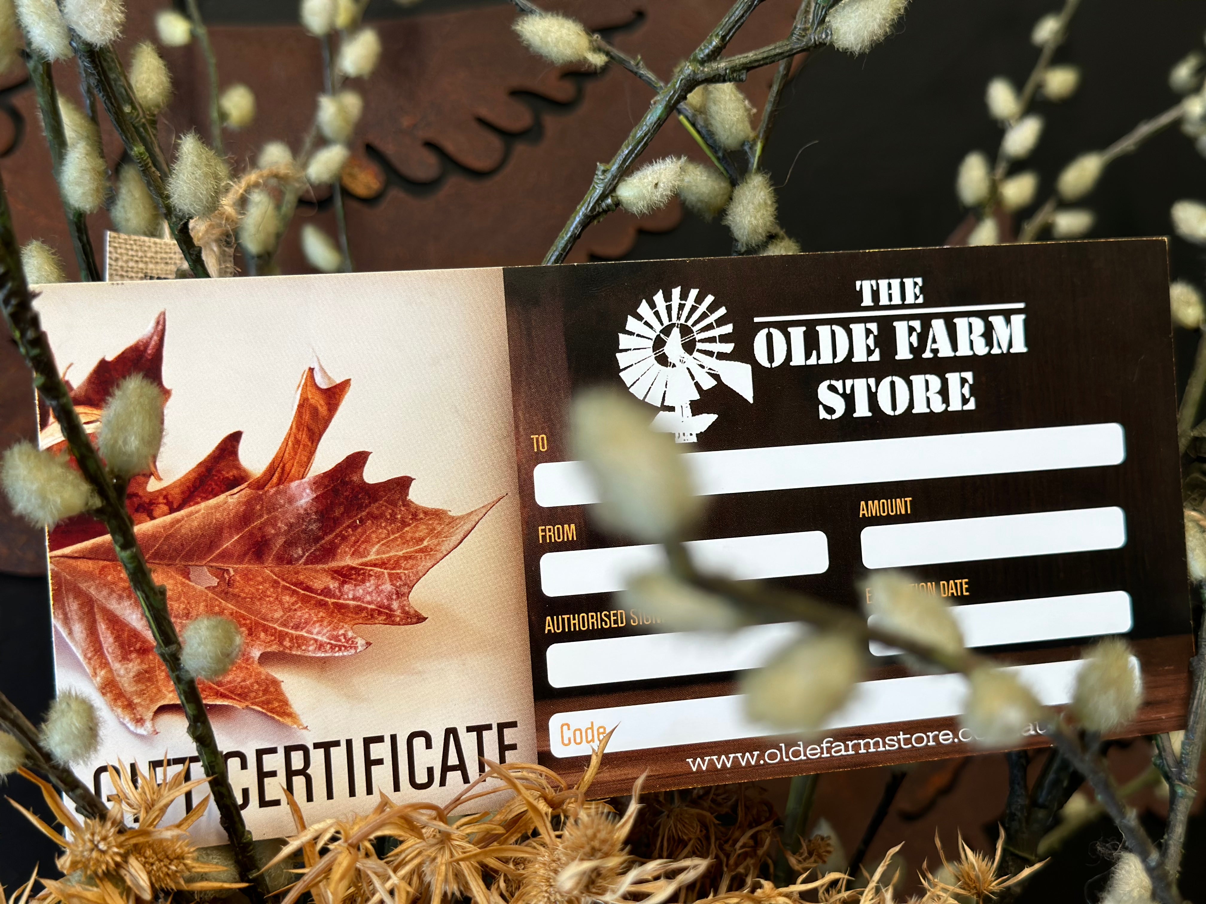 A GIFT CARD $25 - $1000