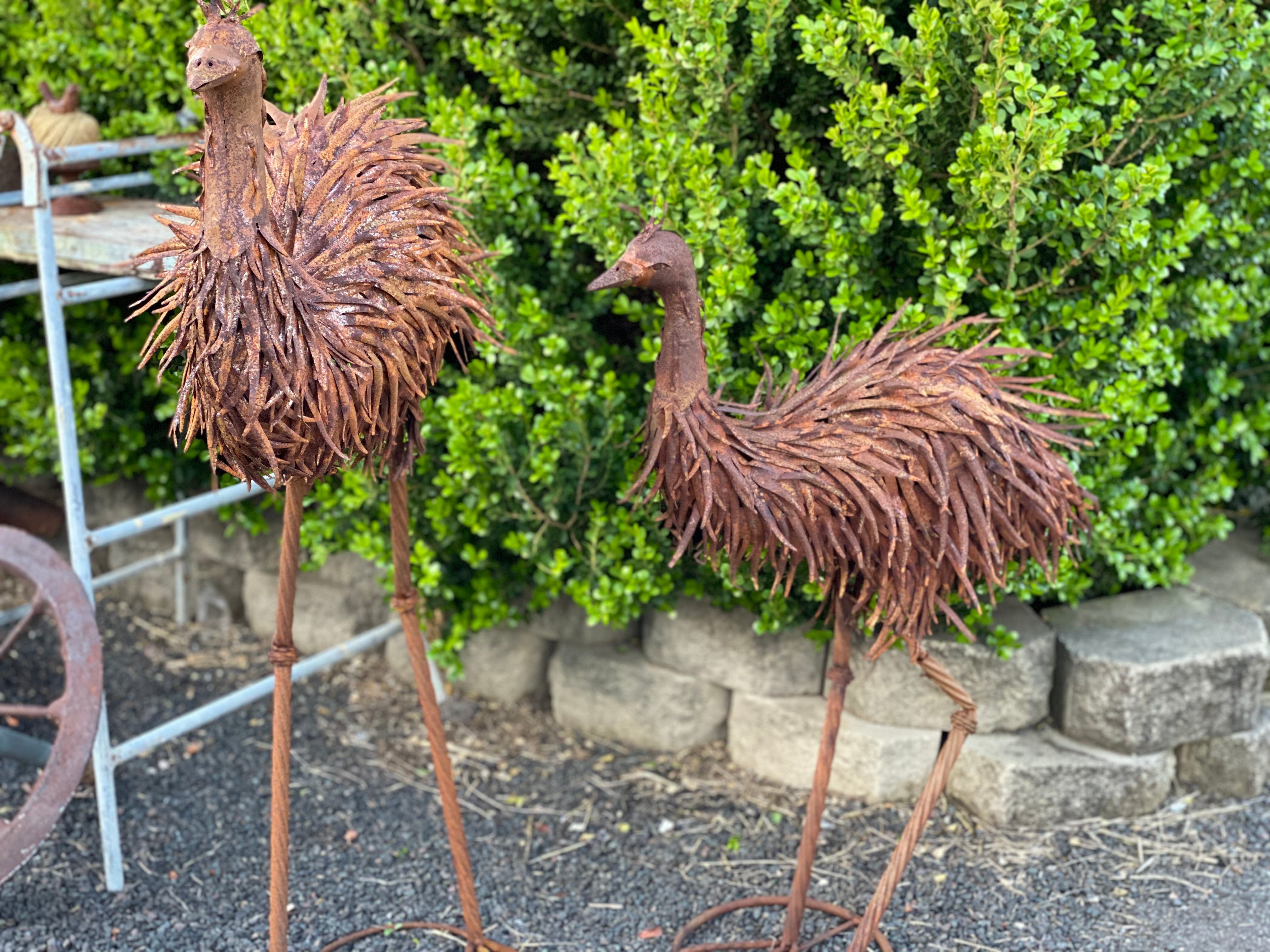 PAPA EMU