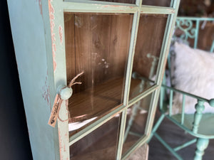 Charlotte Wall unit Mint with GLASS Door