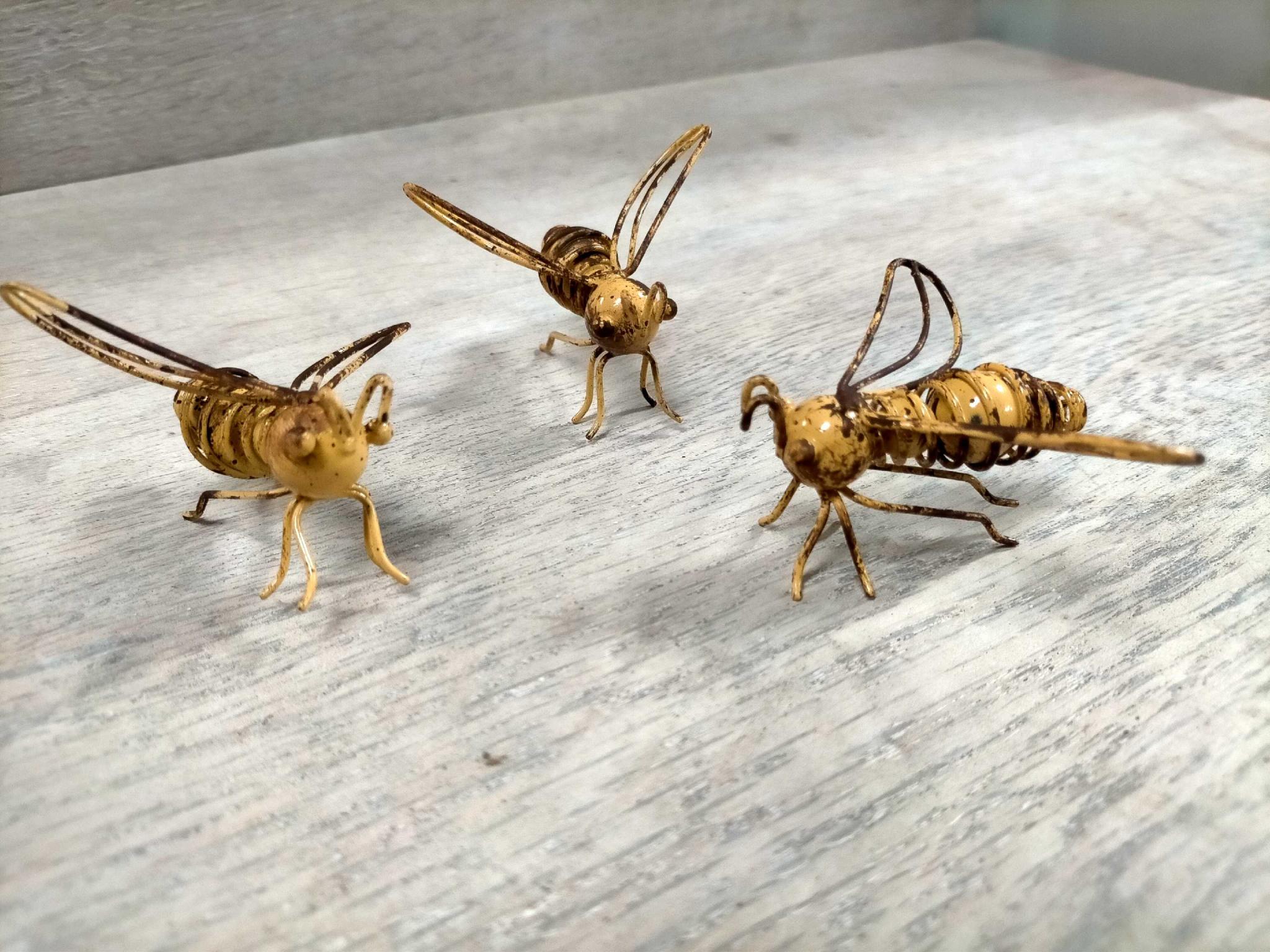 Golden BUZZING BEE