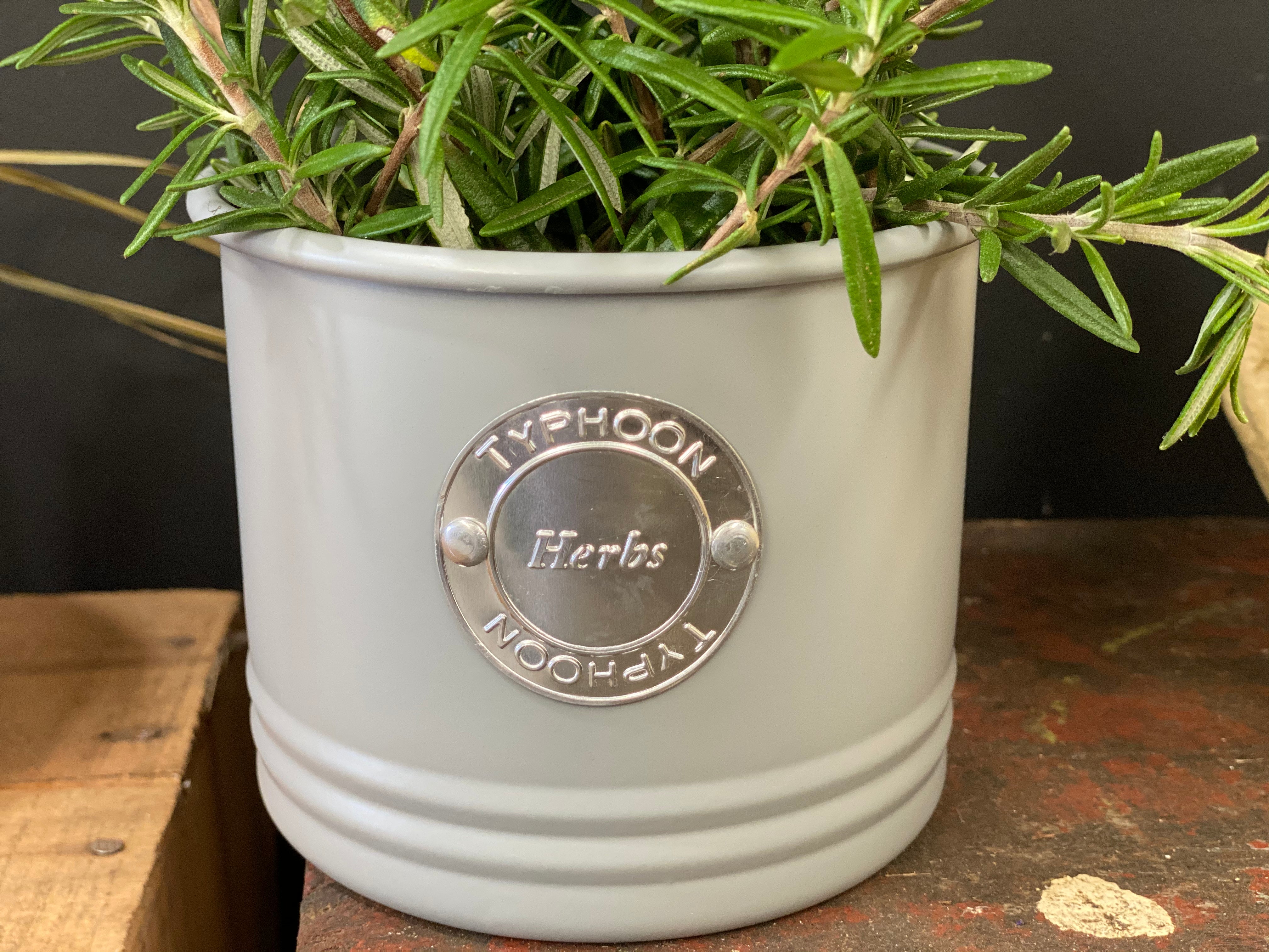French Grey Typhoon HERBS Tin