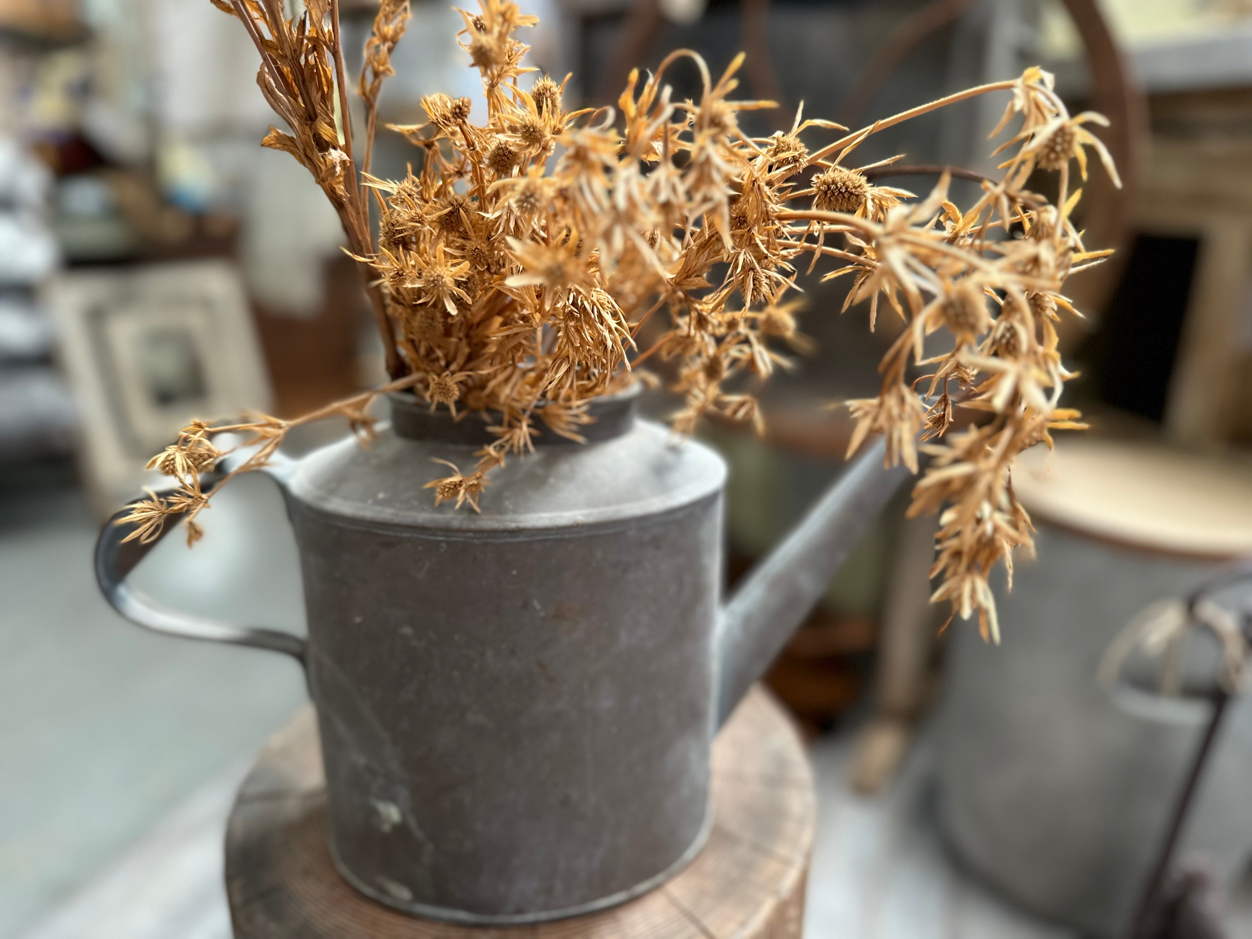 Vintage Copper Watering Can