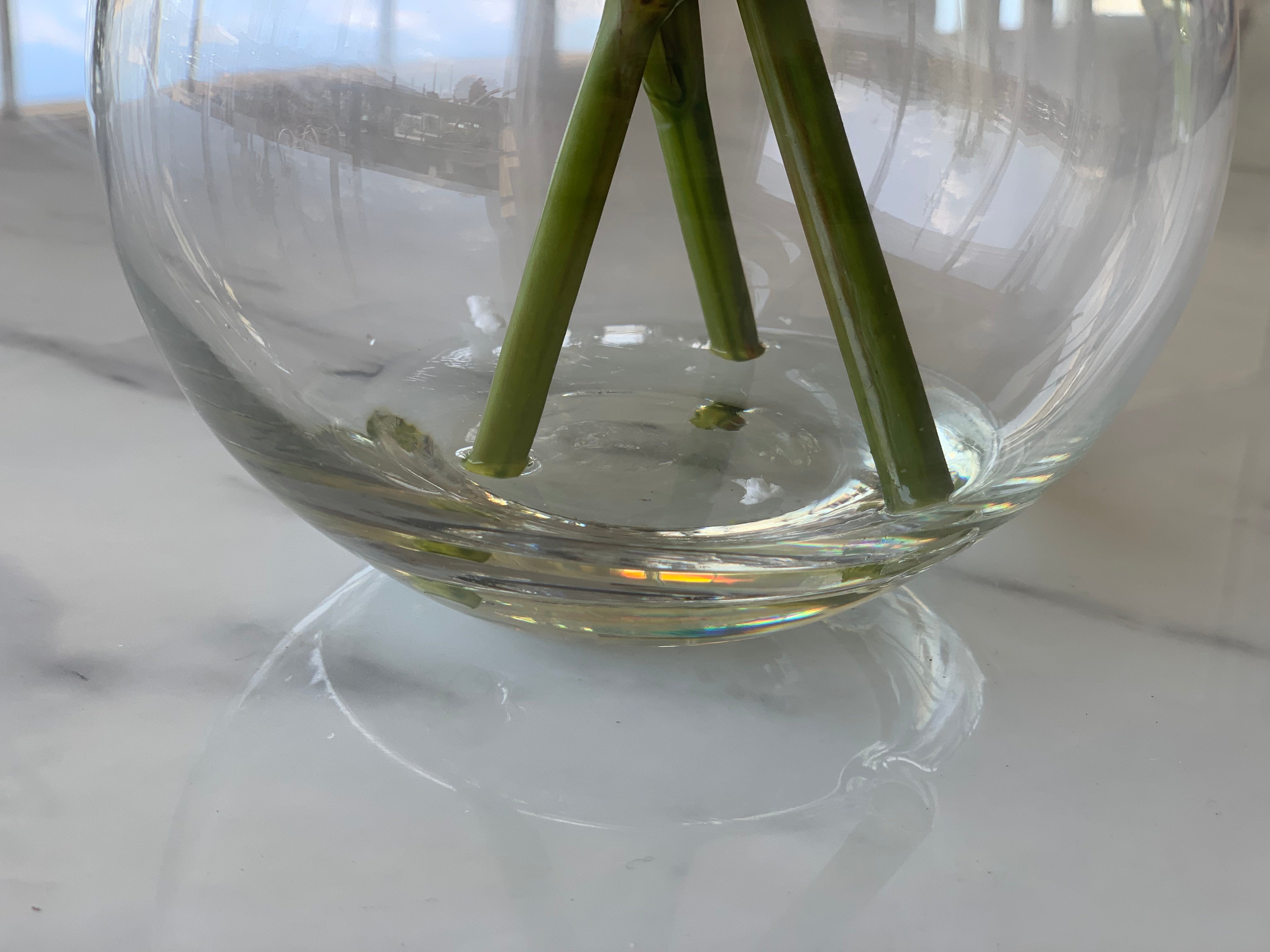 Peony in Water Glass Bowl