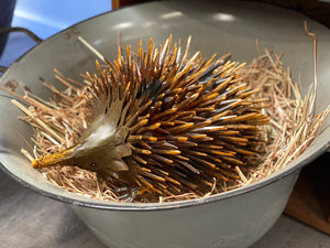 Large Enamel Tub