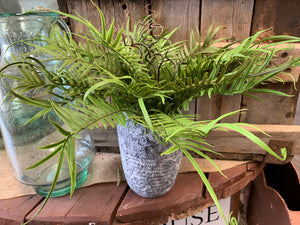 Faux Fern in Pot