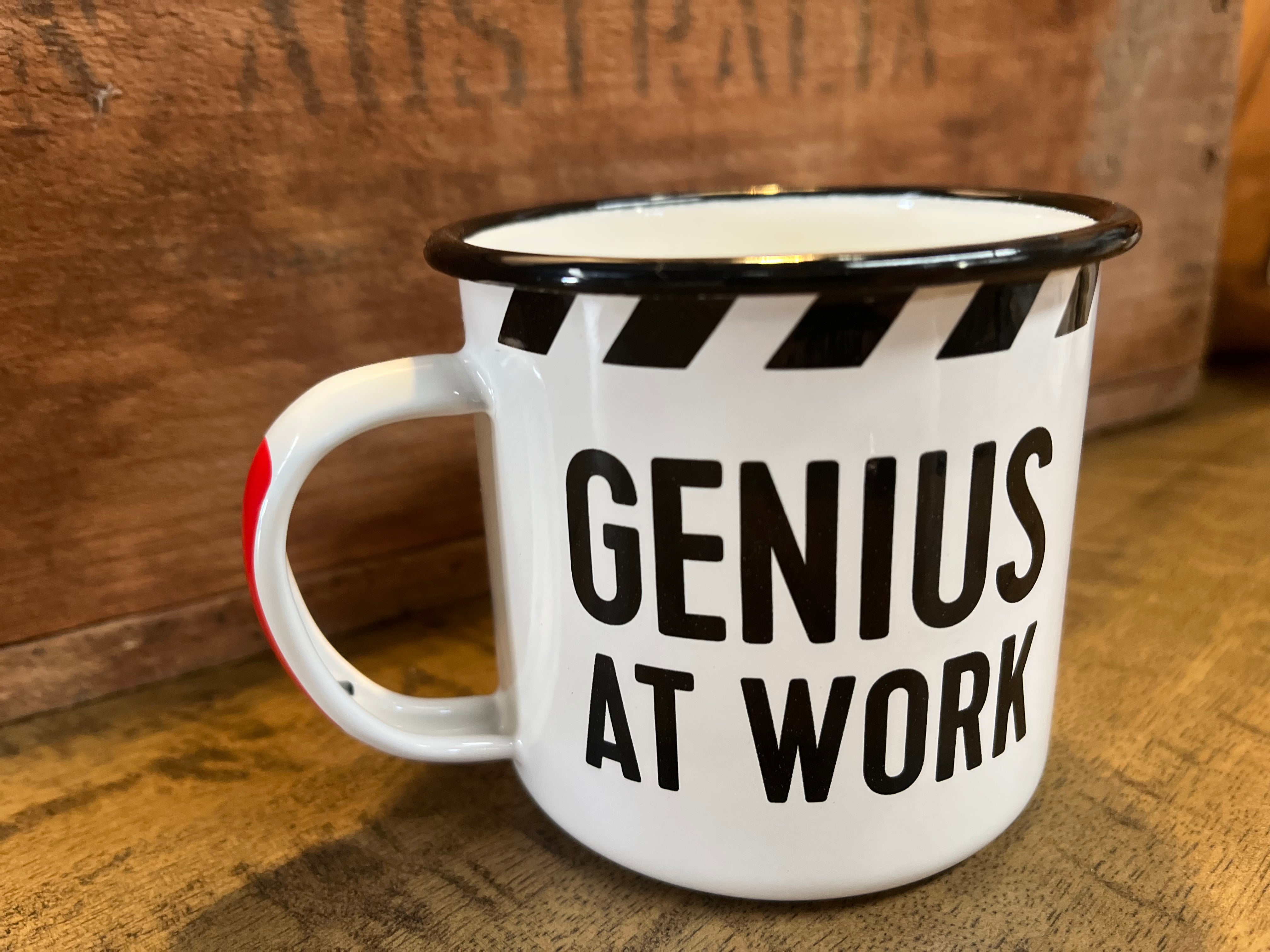 WARNING Genius Enamel Mug