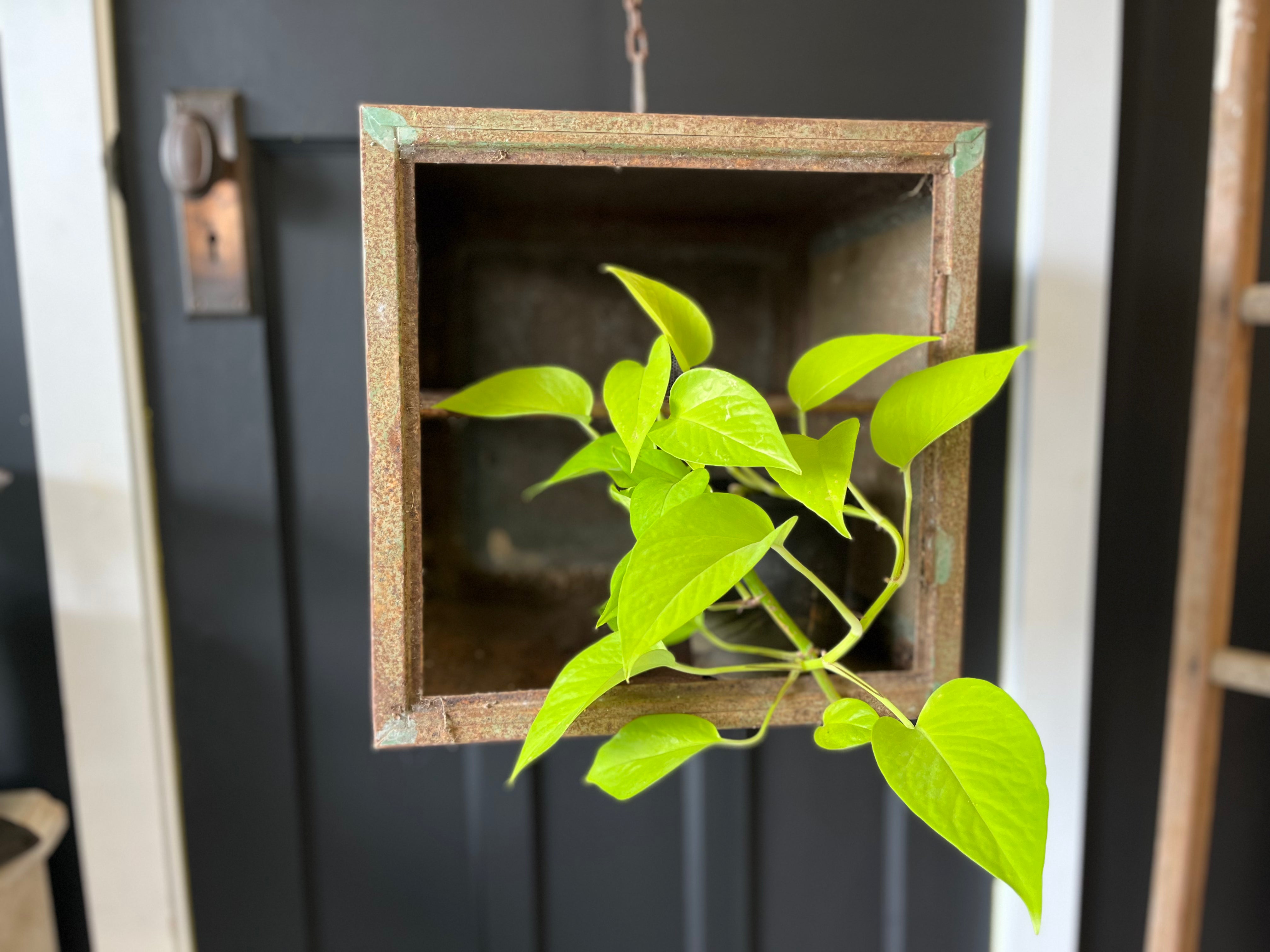 Vintage Meat Safe