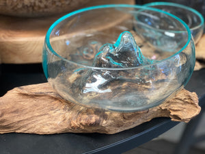 Glass Terrariums