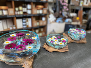 Glass Terrariums