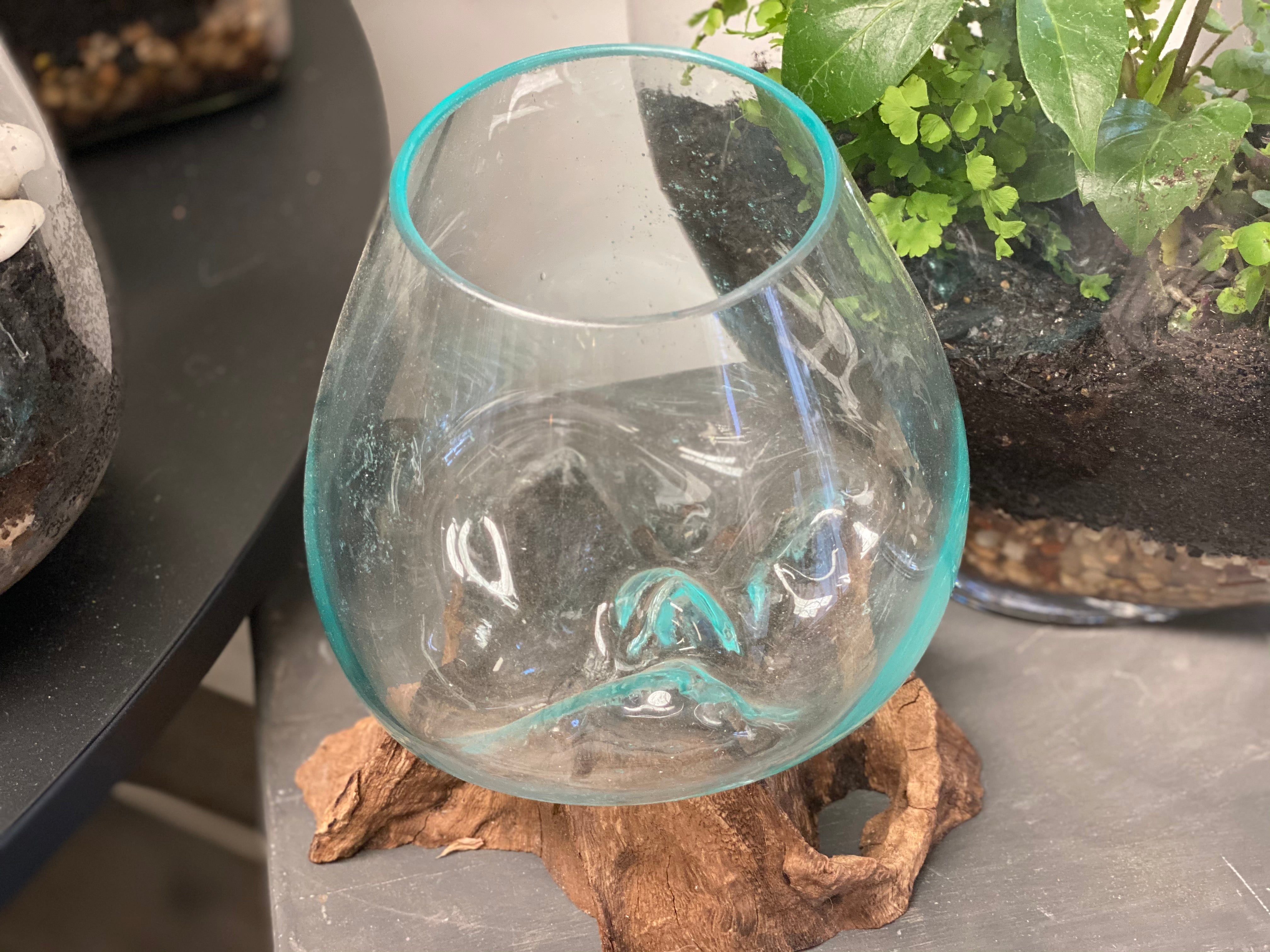 Glass Terrariums