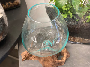 Glass Terrariums